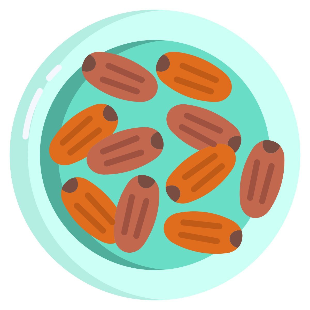 medjool icon