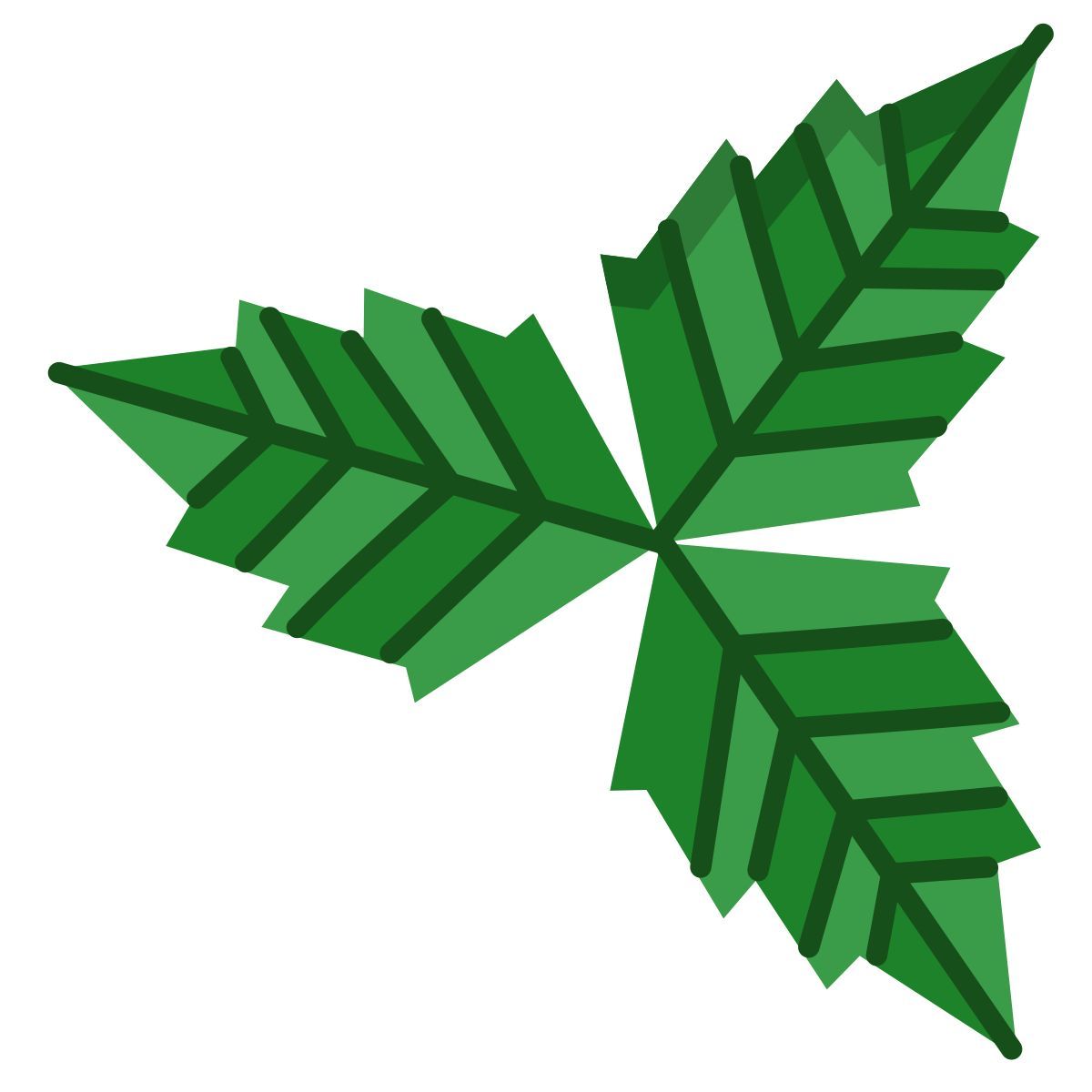 薄荷叶 icon
