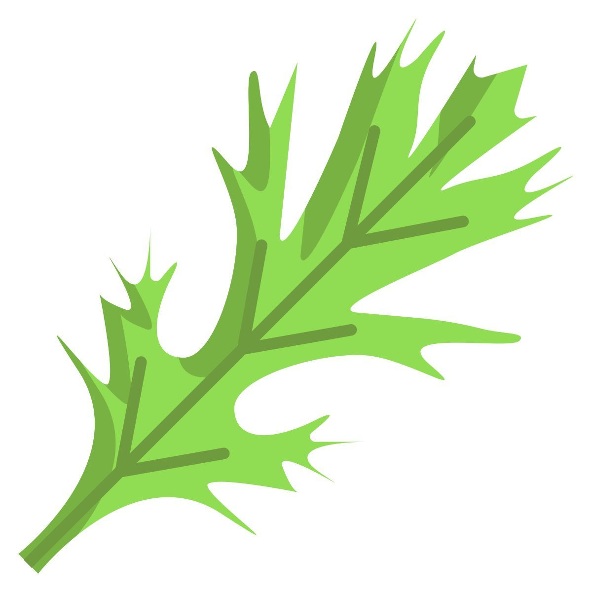 mizuna leaf icon