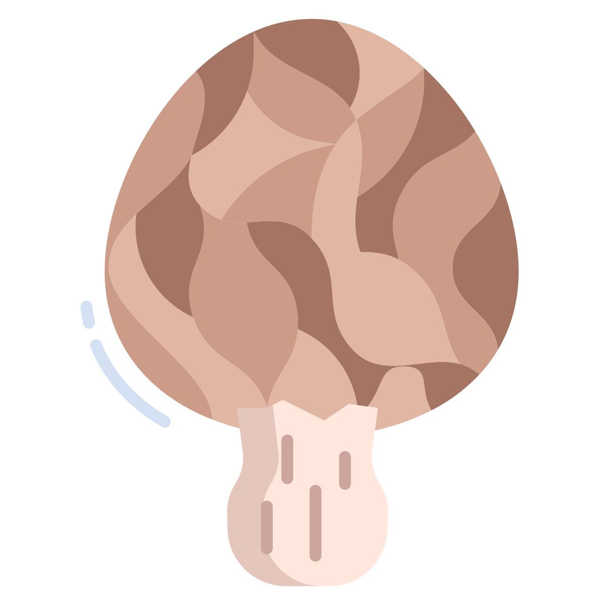 morchella icon