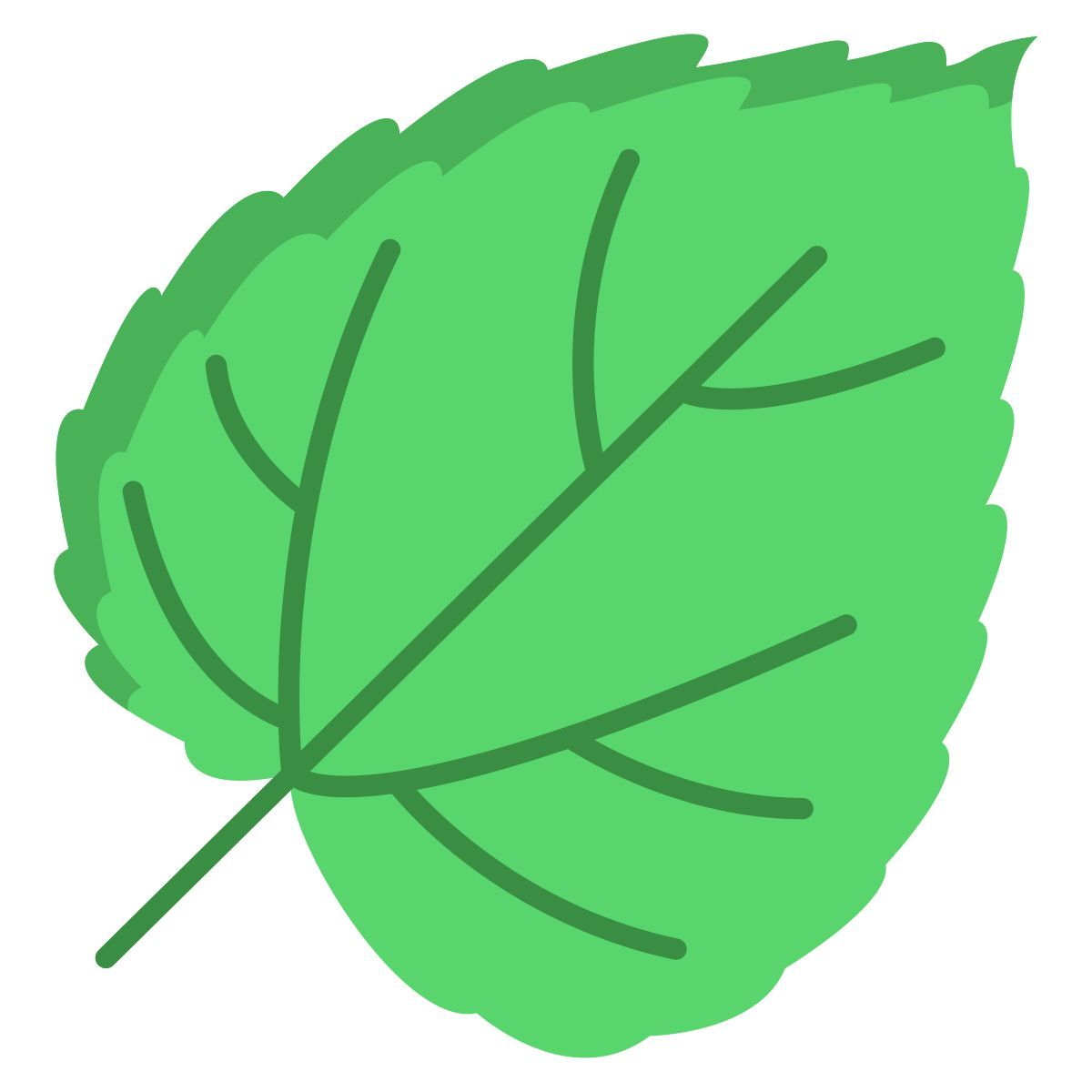 mulberry leaf icon