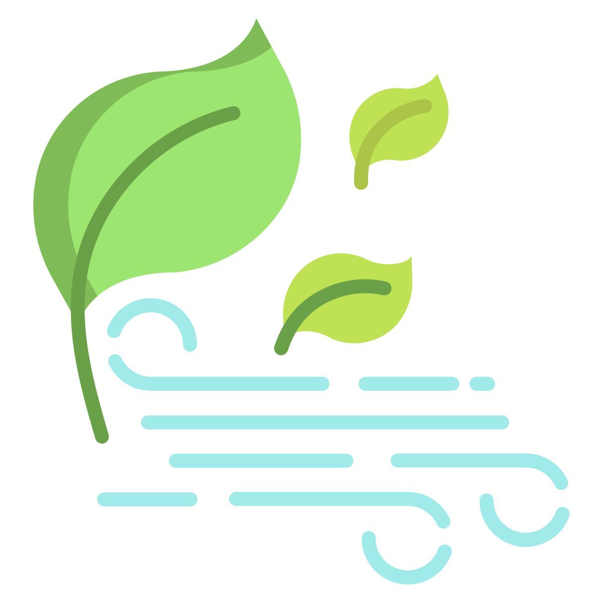 Nature Wind icon