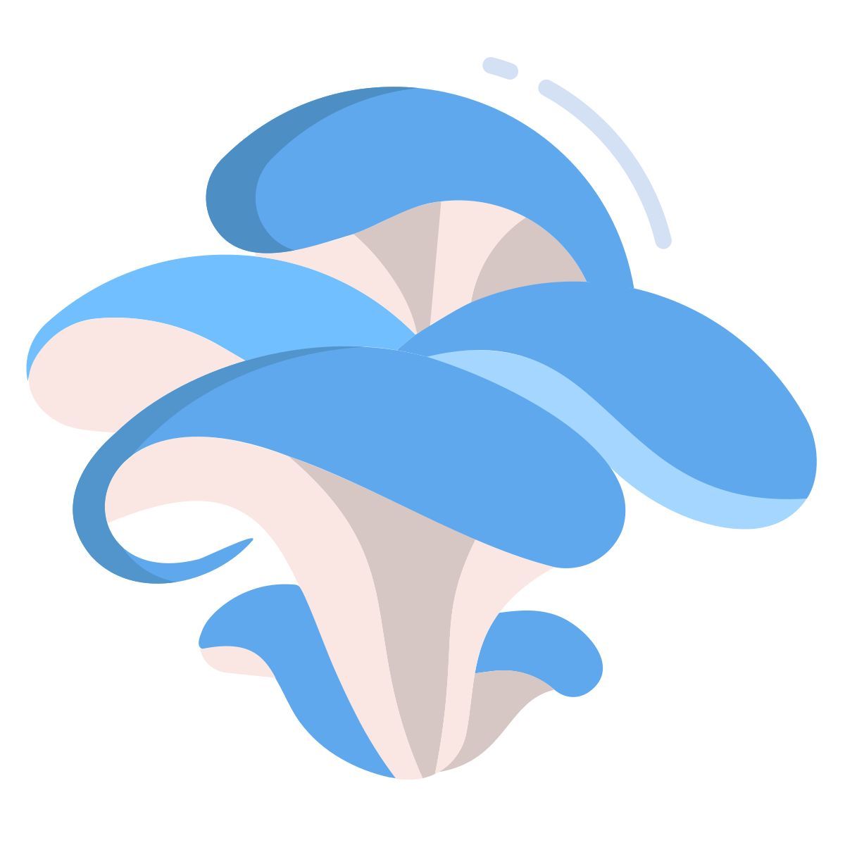 oyster mushroom icon