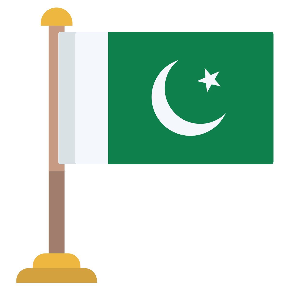 pakistan flag icon