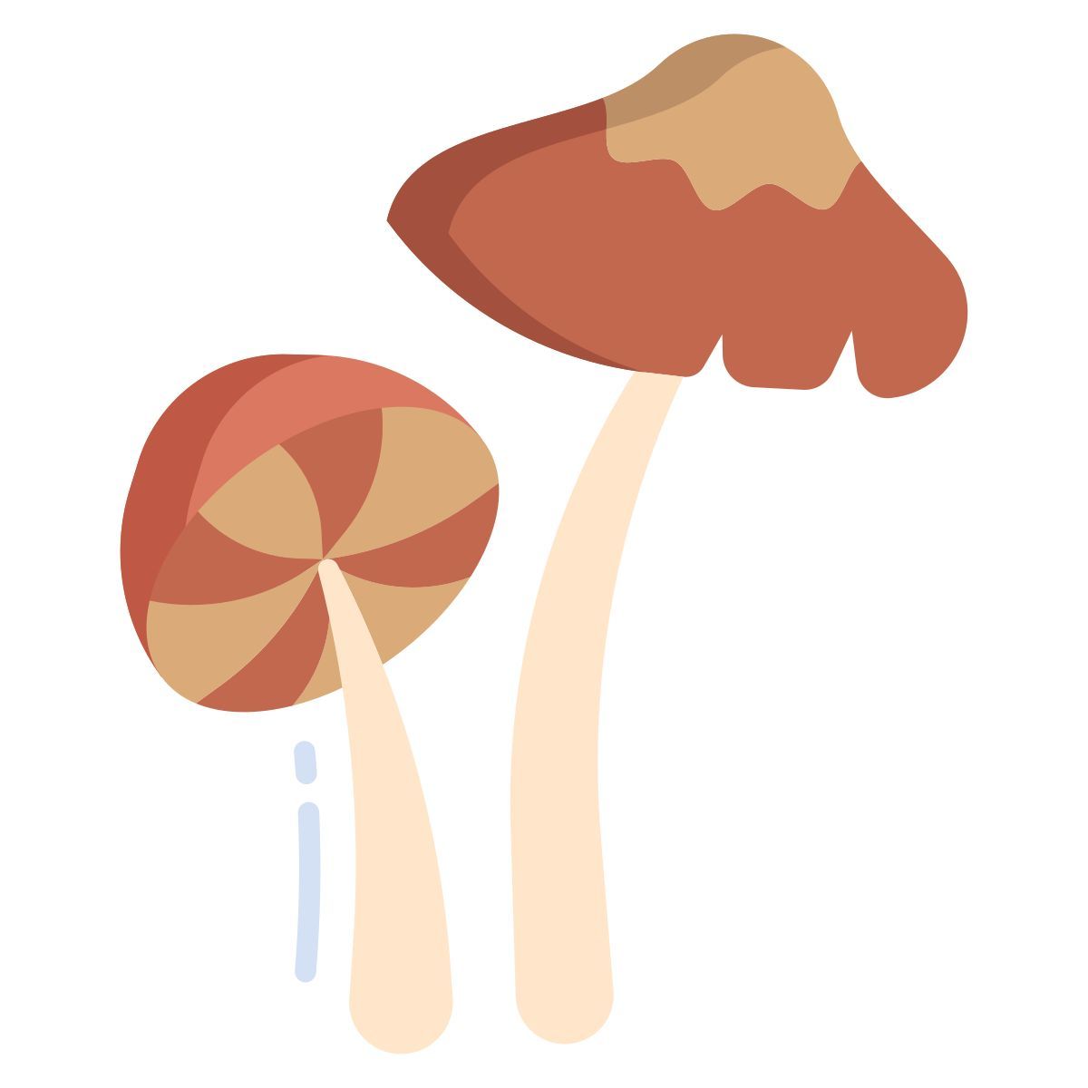 parasol icon