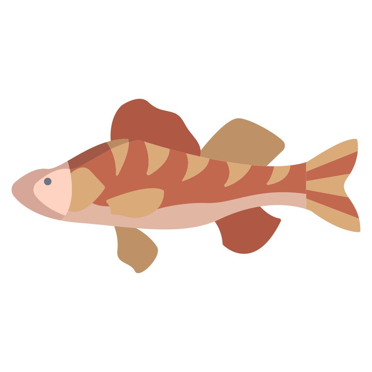 perch fish icon