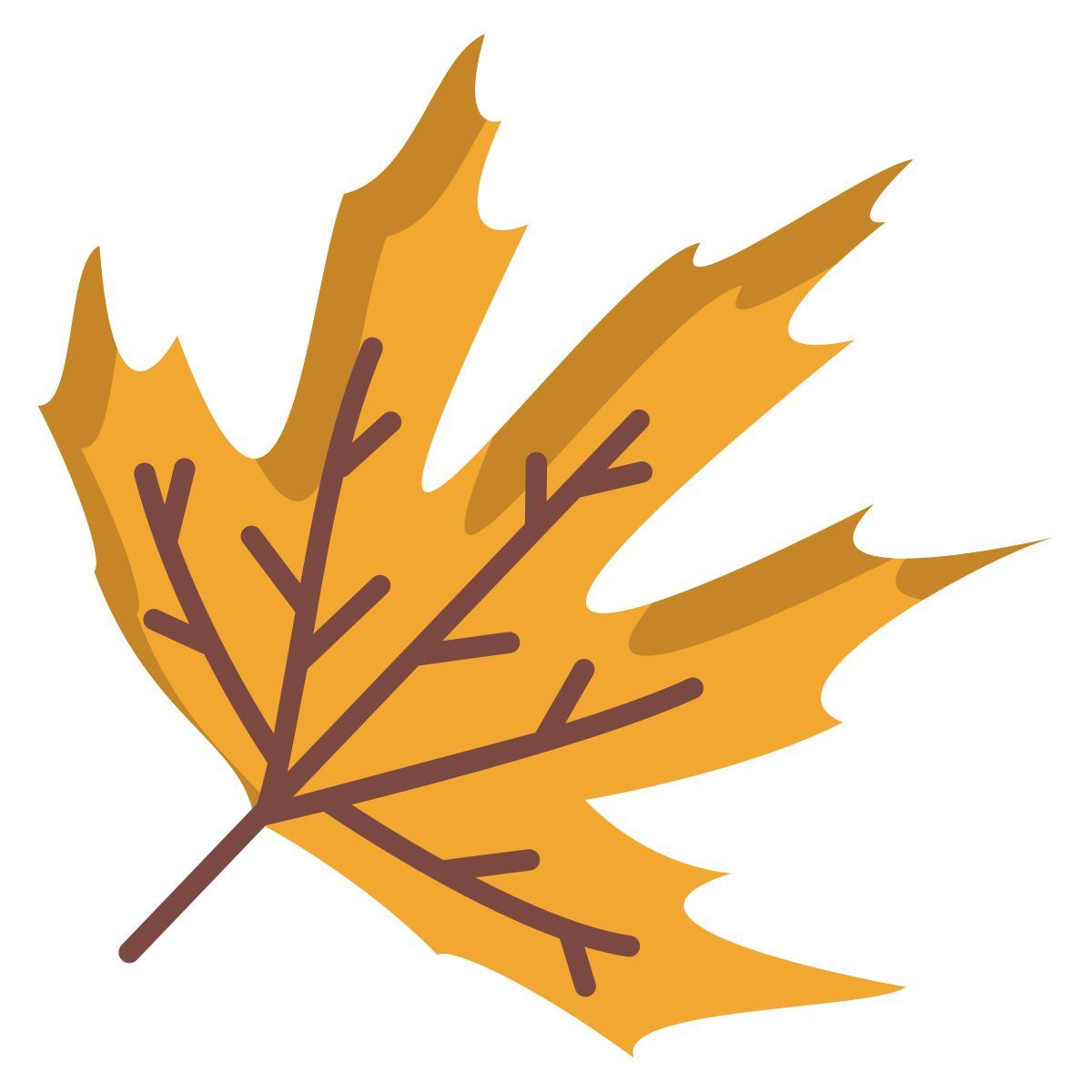 plane tree leaf icon