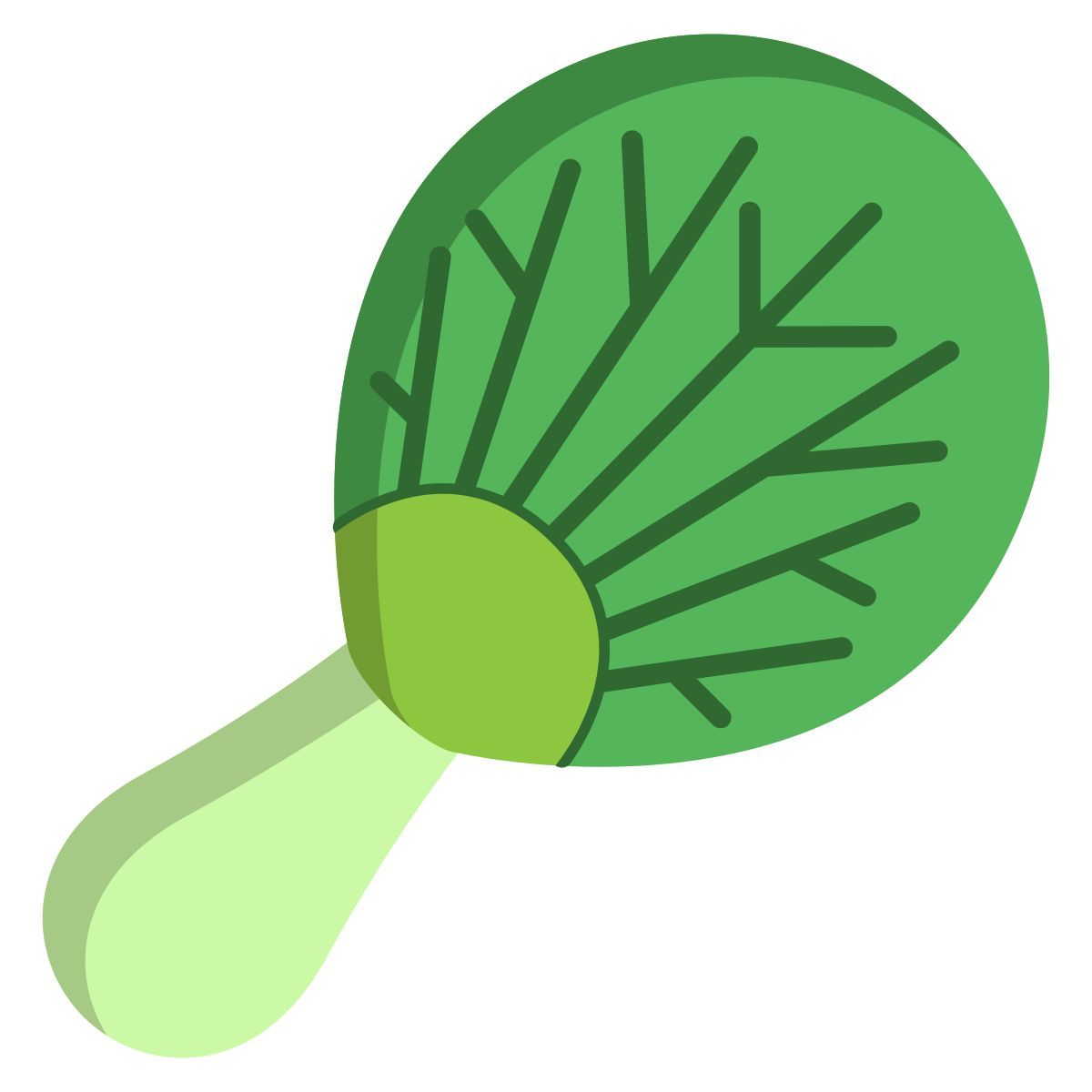 pok choi leaf icon