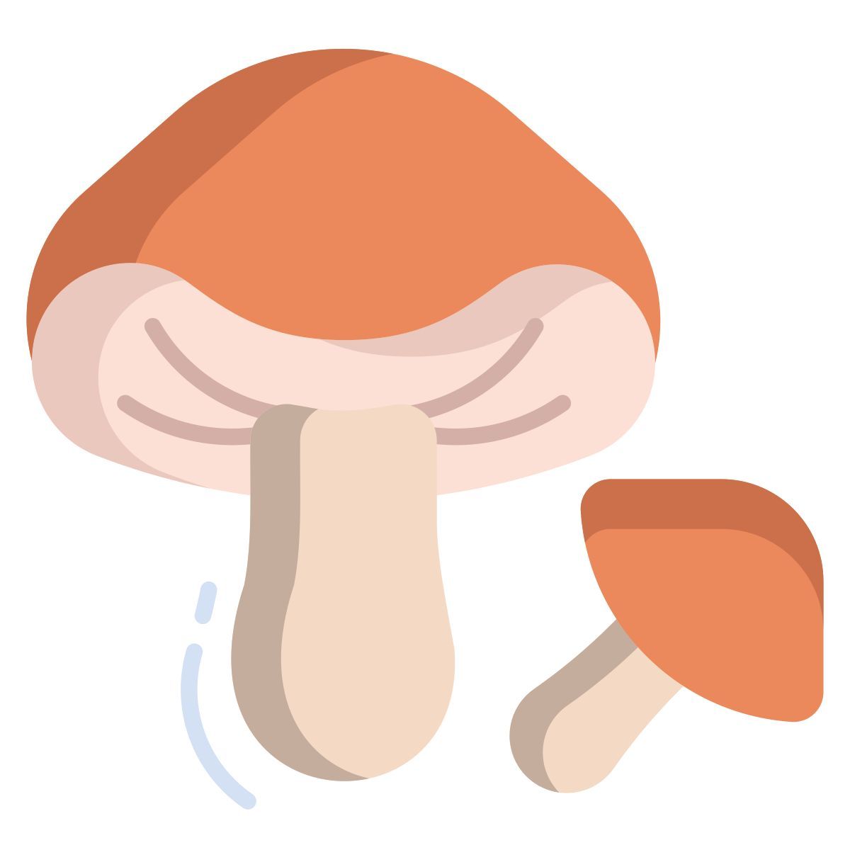 porcini mushroom icon