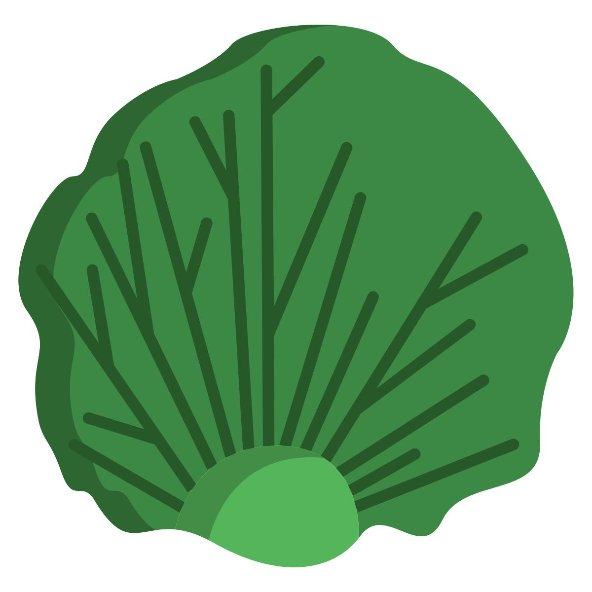 radicchio leaf icon