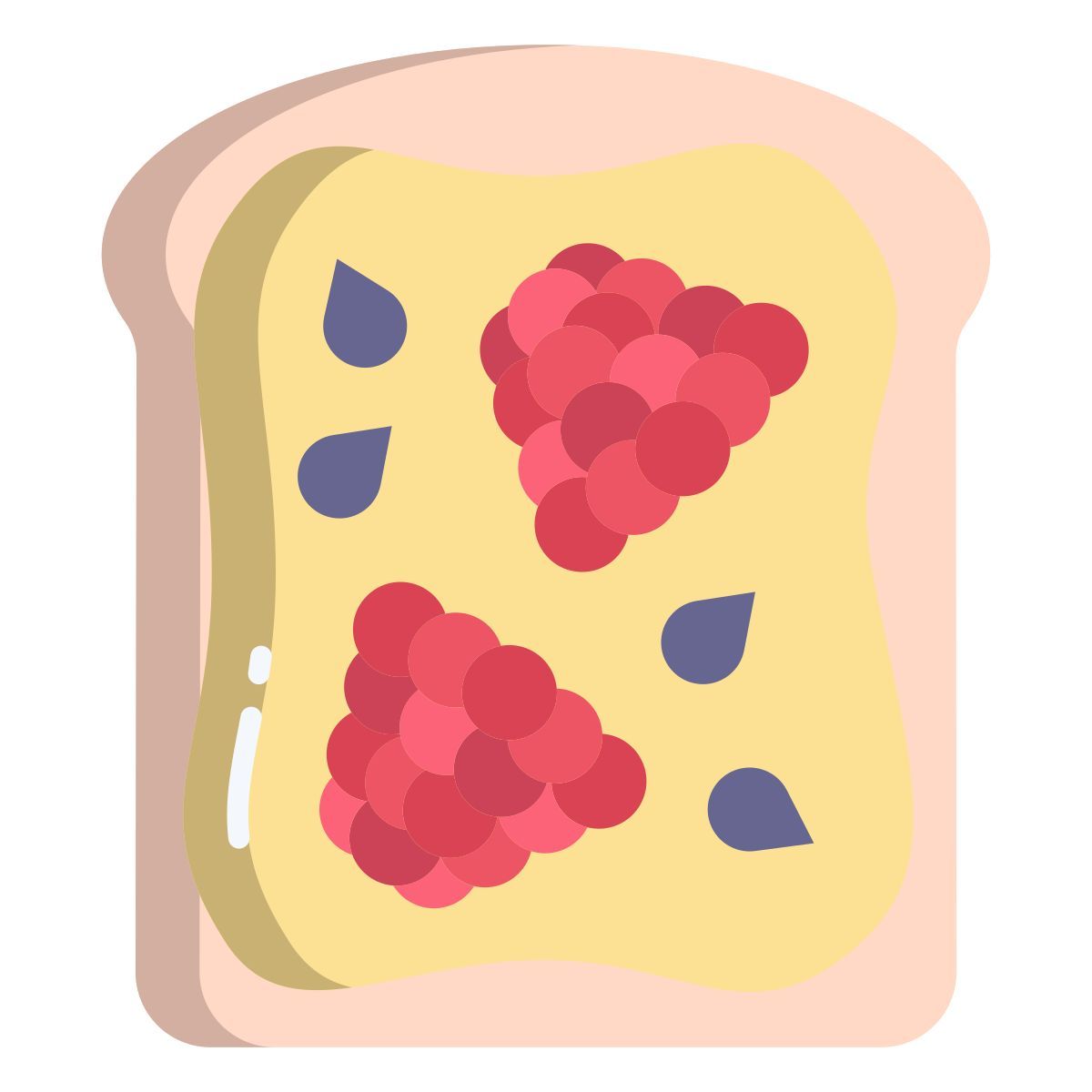raspberry toast icon