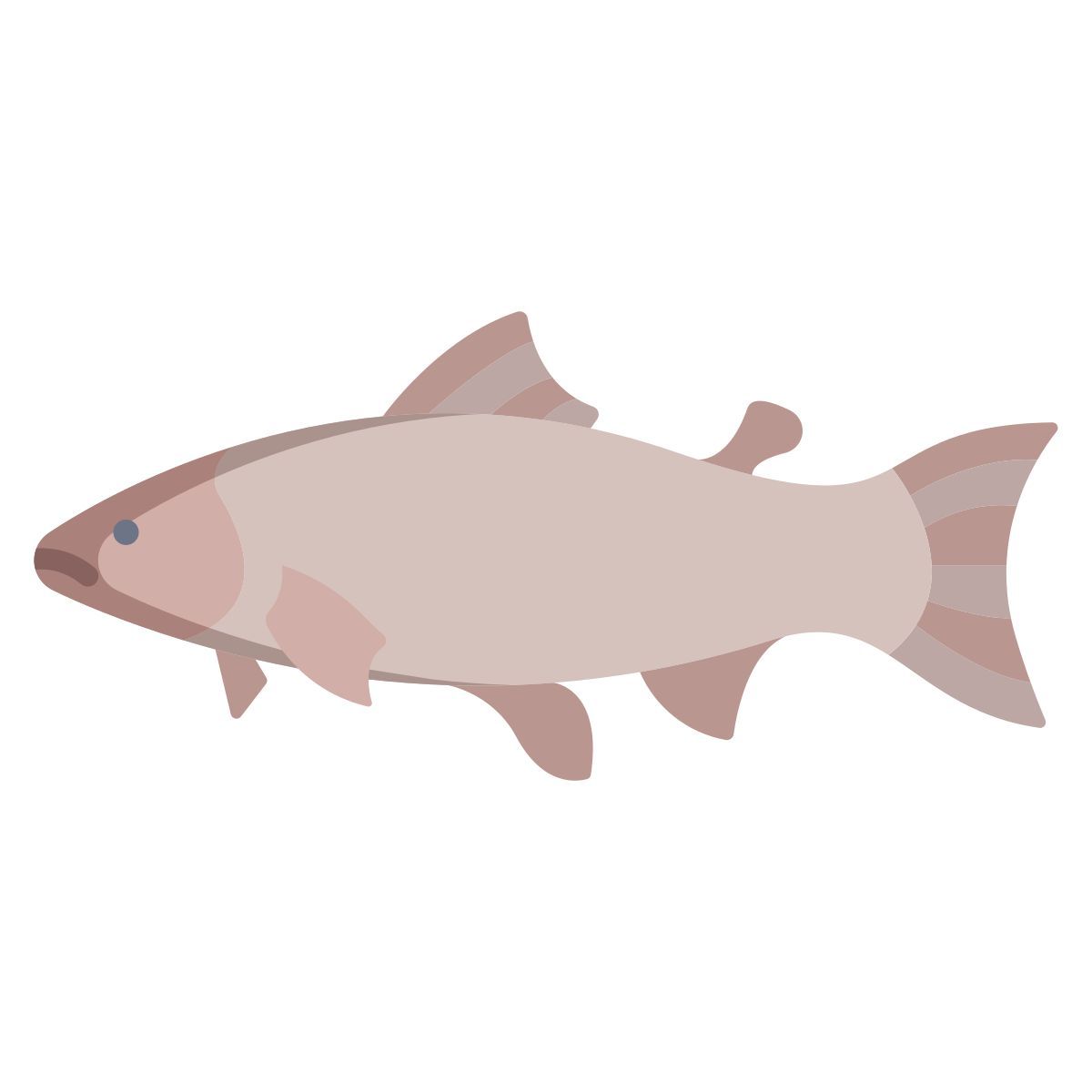 salmon fish icon