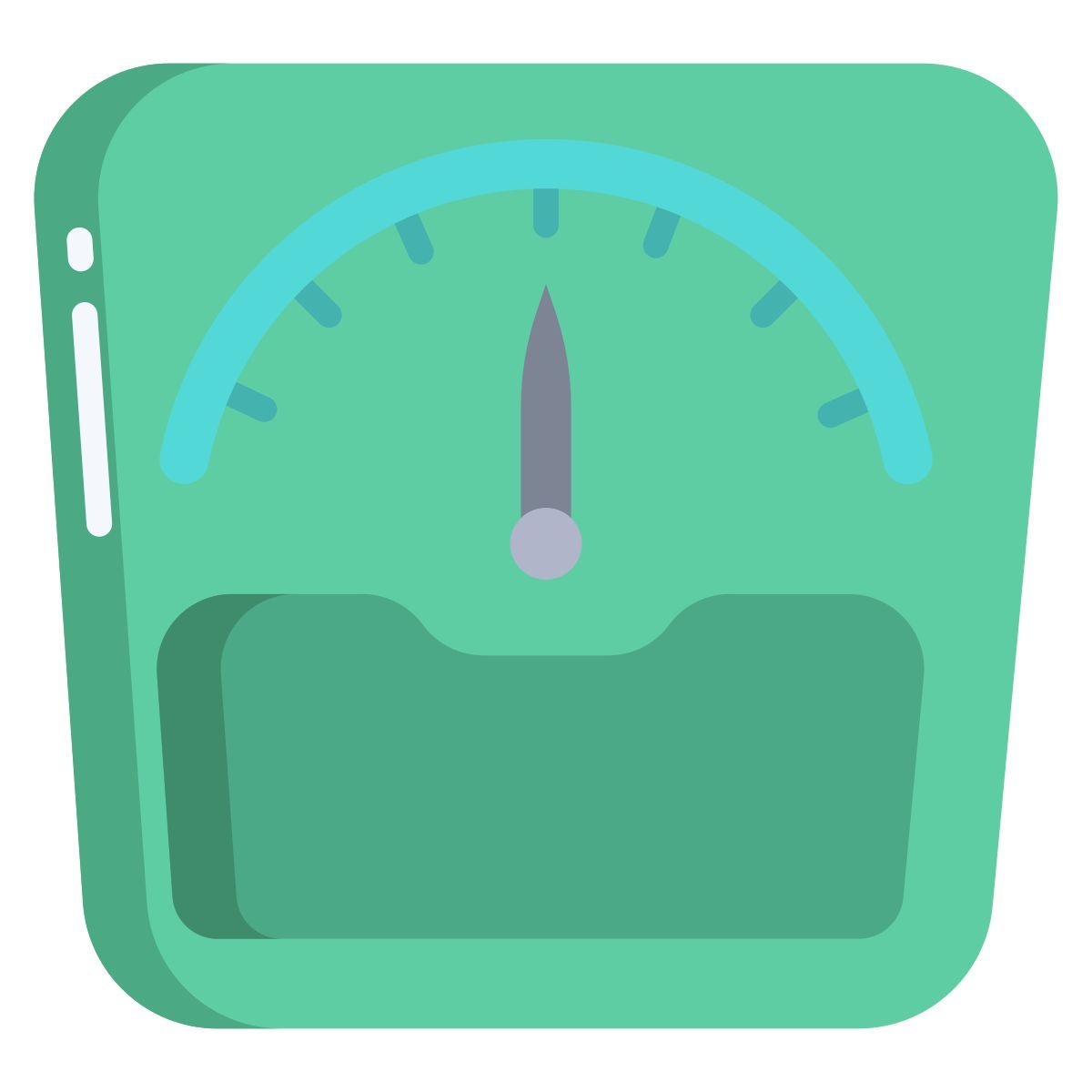 scale icon
