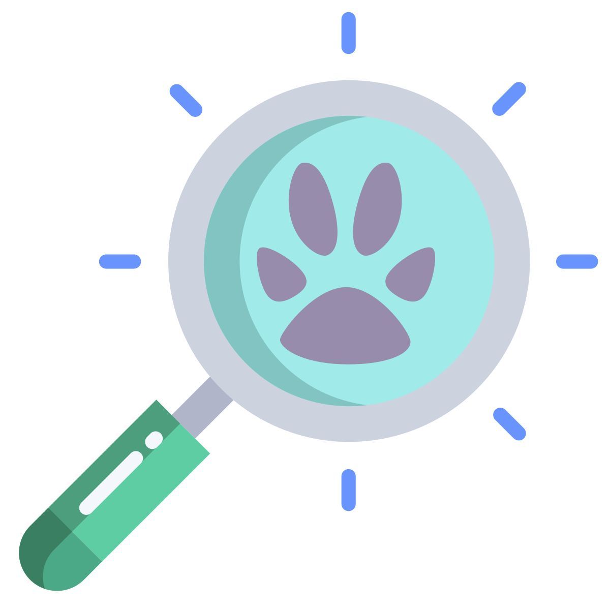search icon