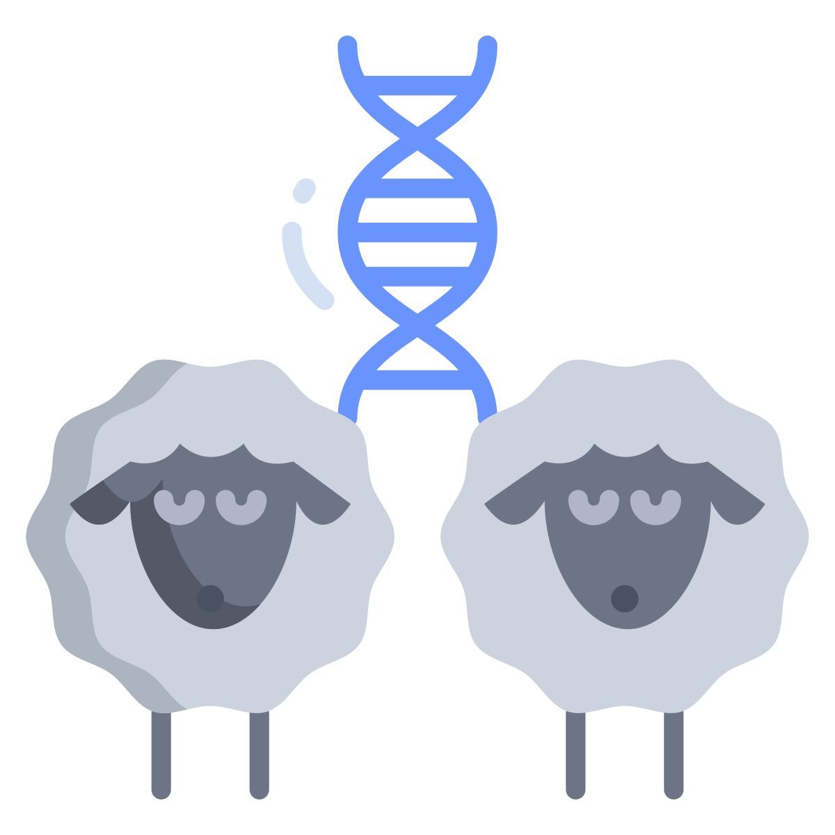 sheep dna icon