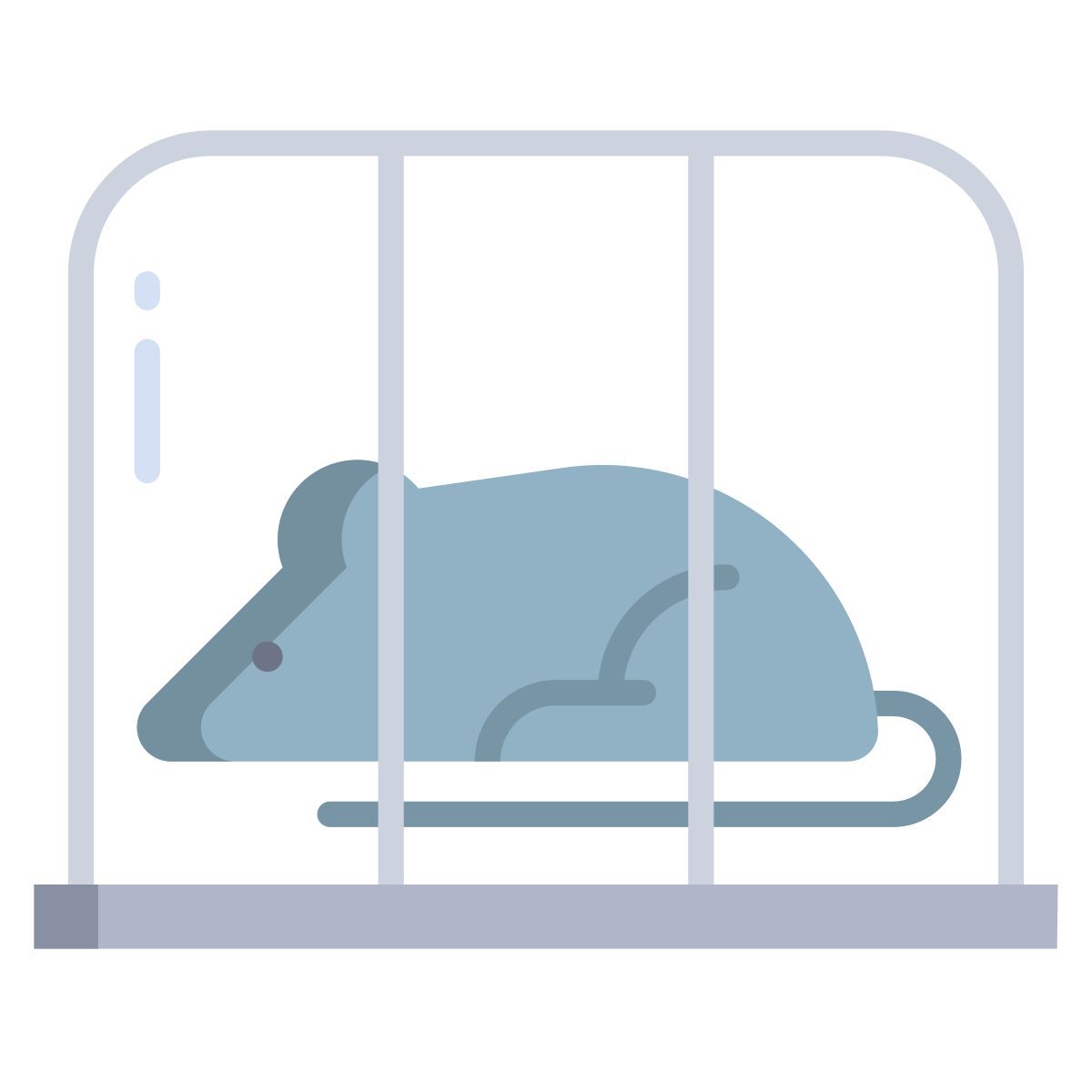 testing icon