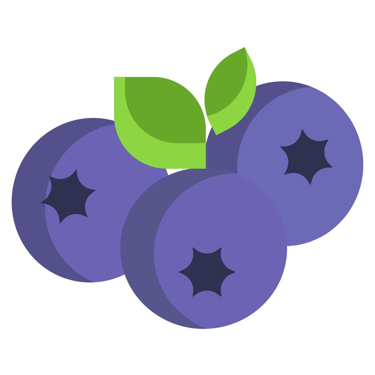mirtilo icon