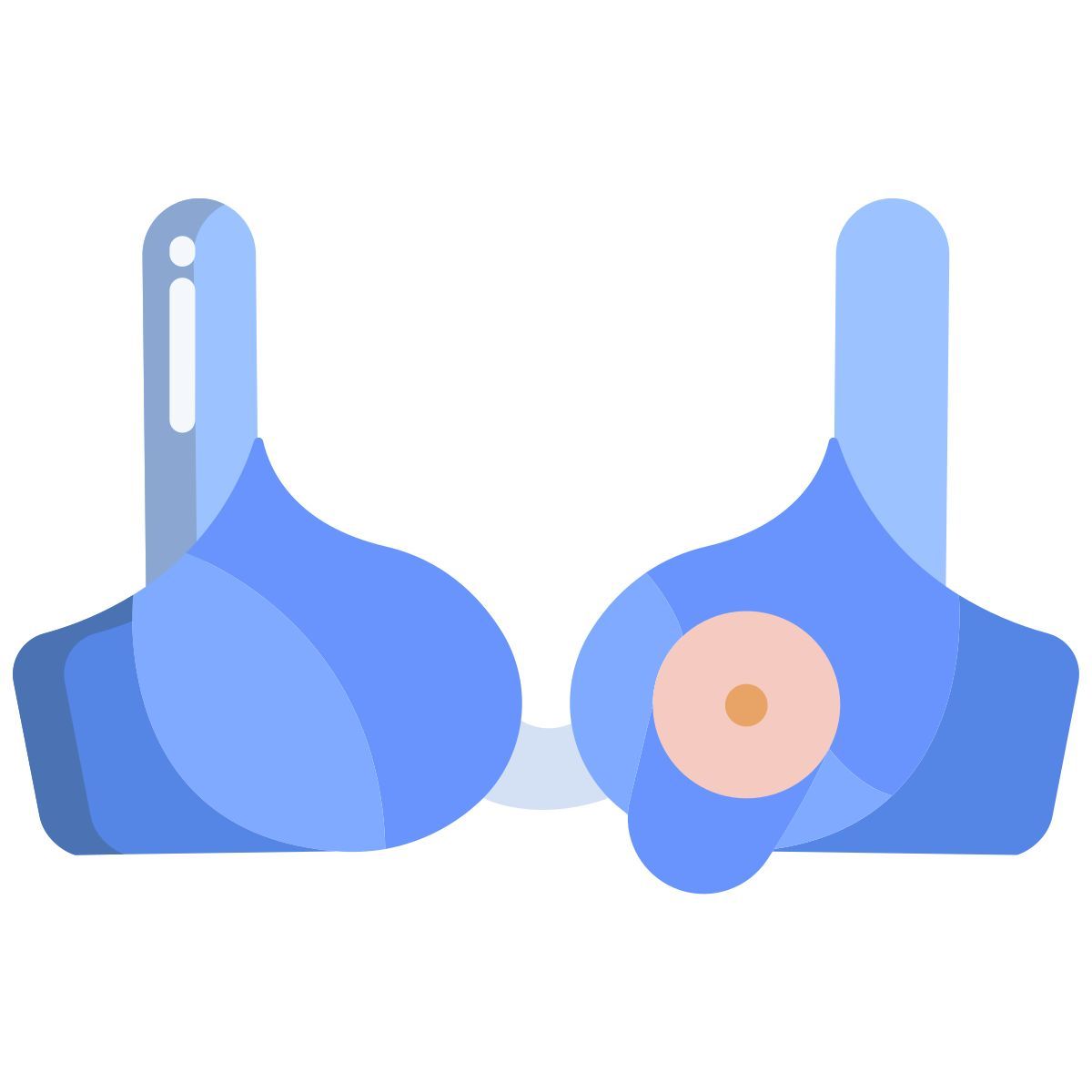bra icon