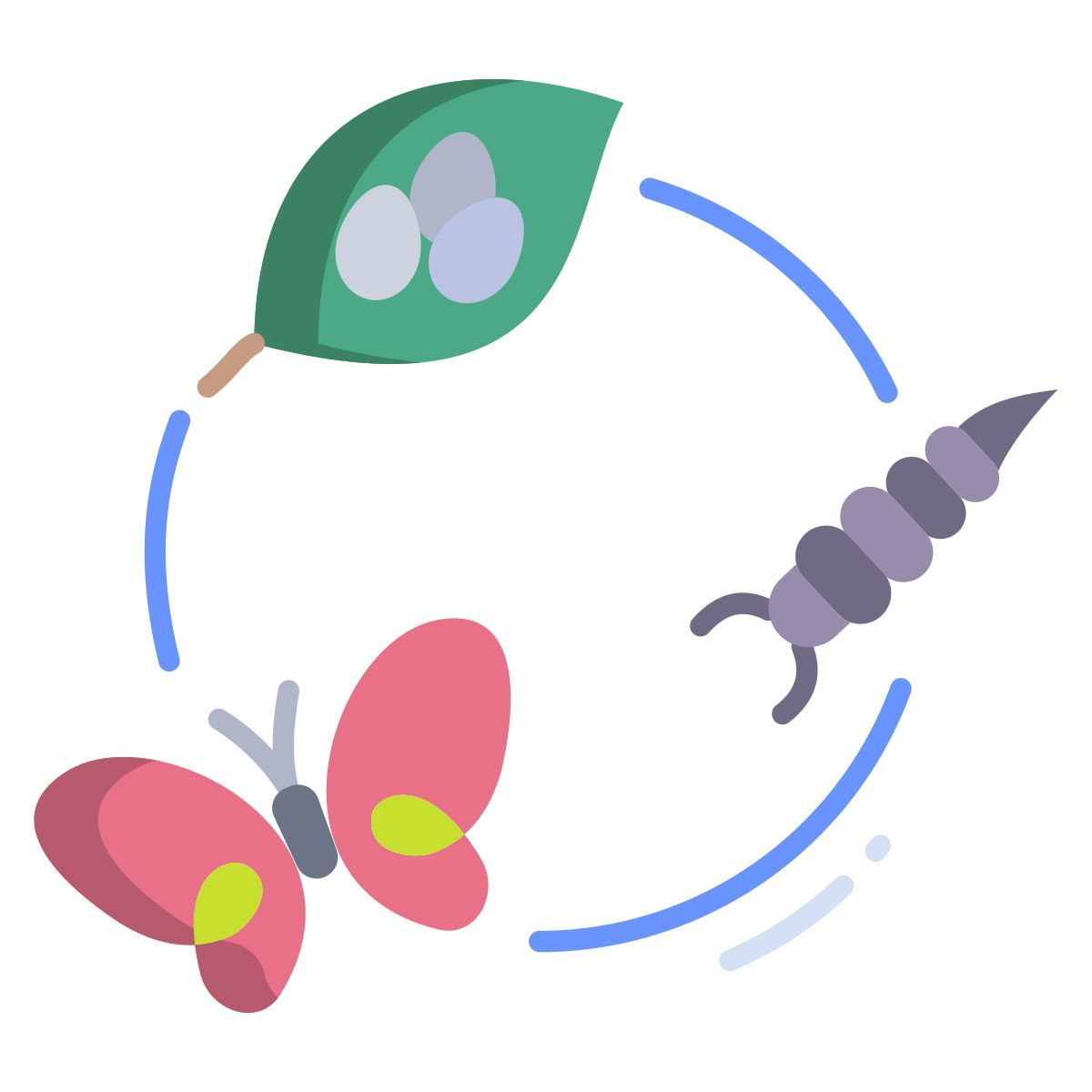 butterfly icon