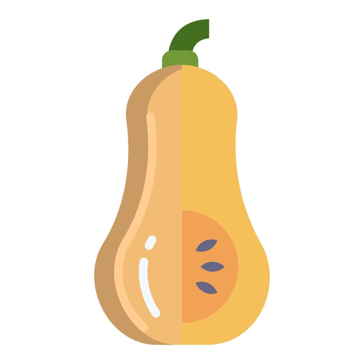 butternut squash icon