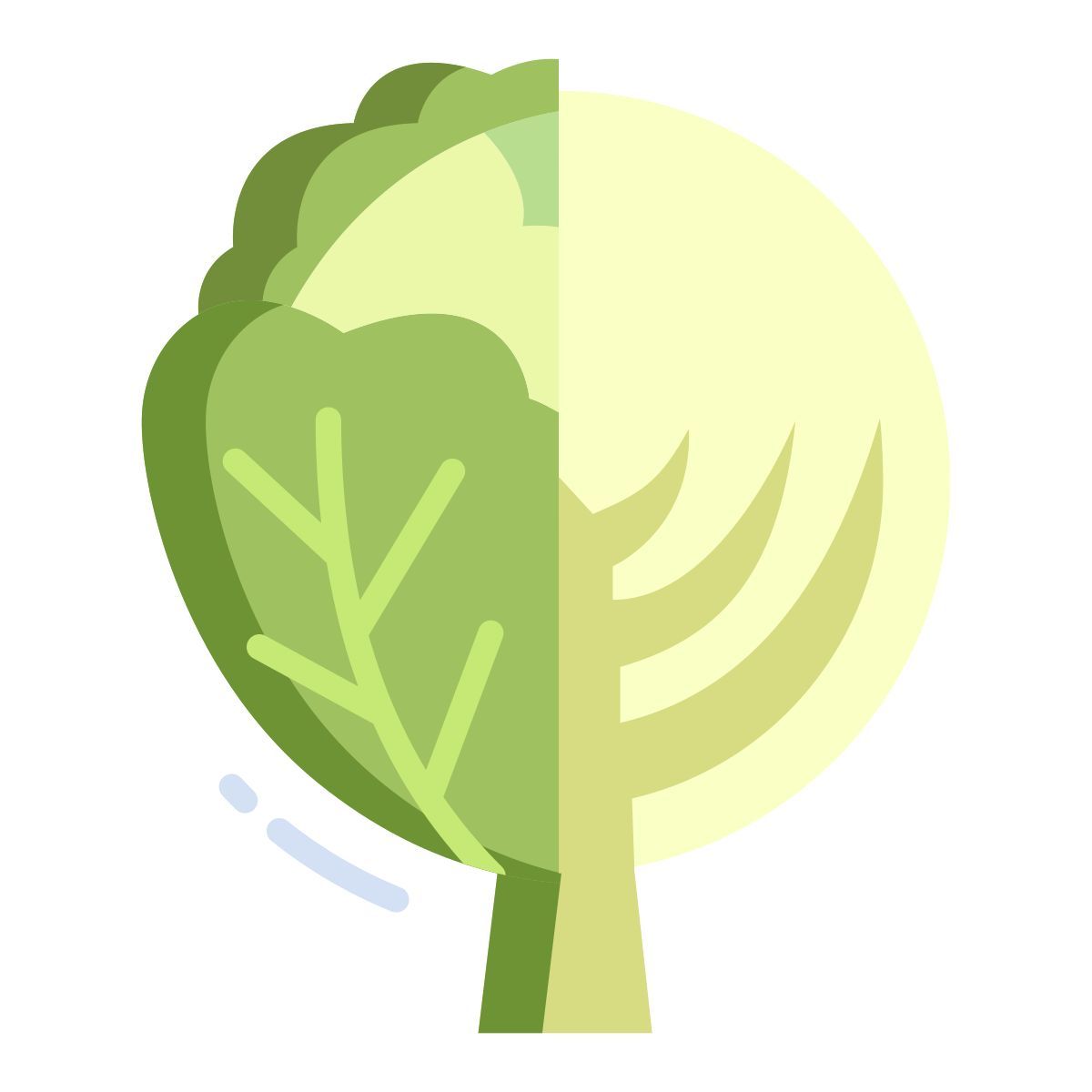 cabbage icon