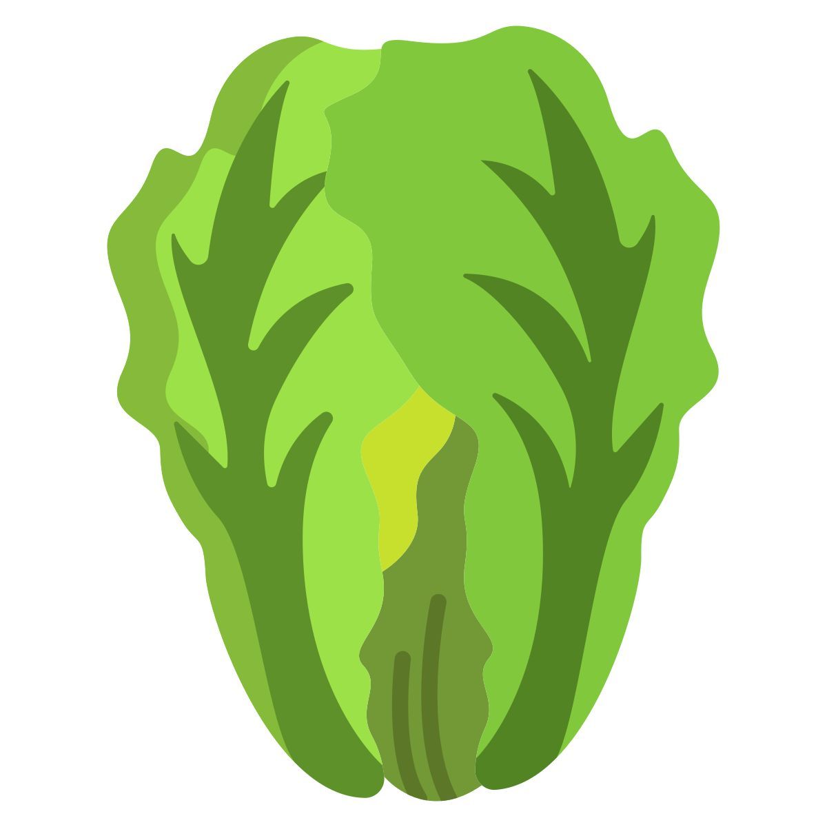 cabbage icon