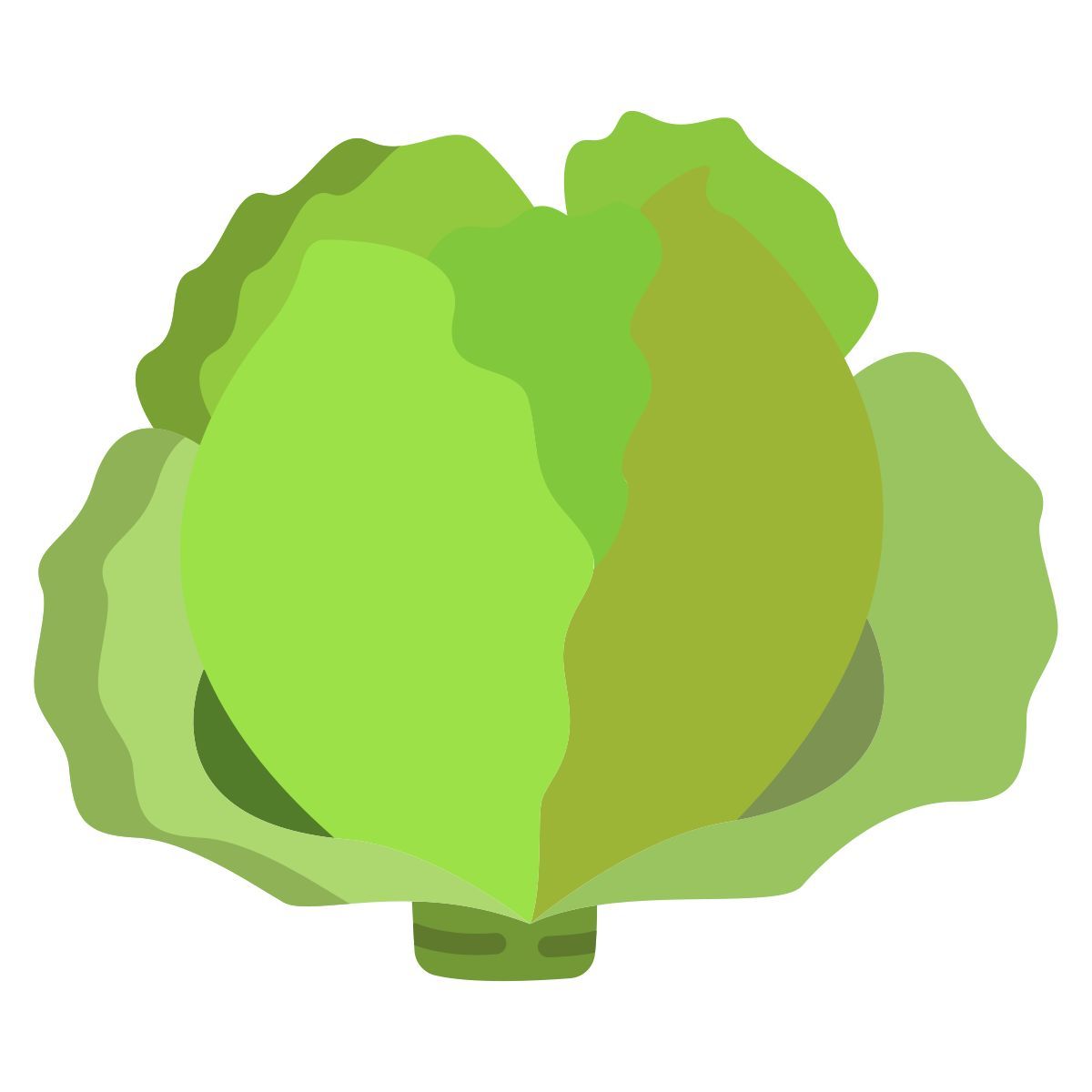 cabbage icon