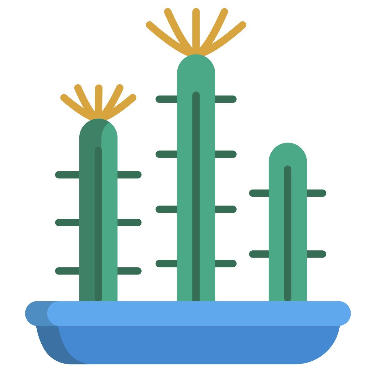 cactus icon