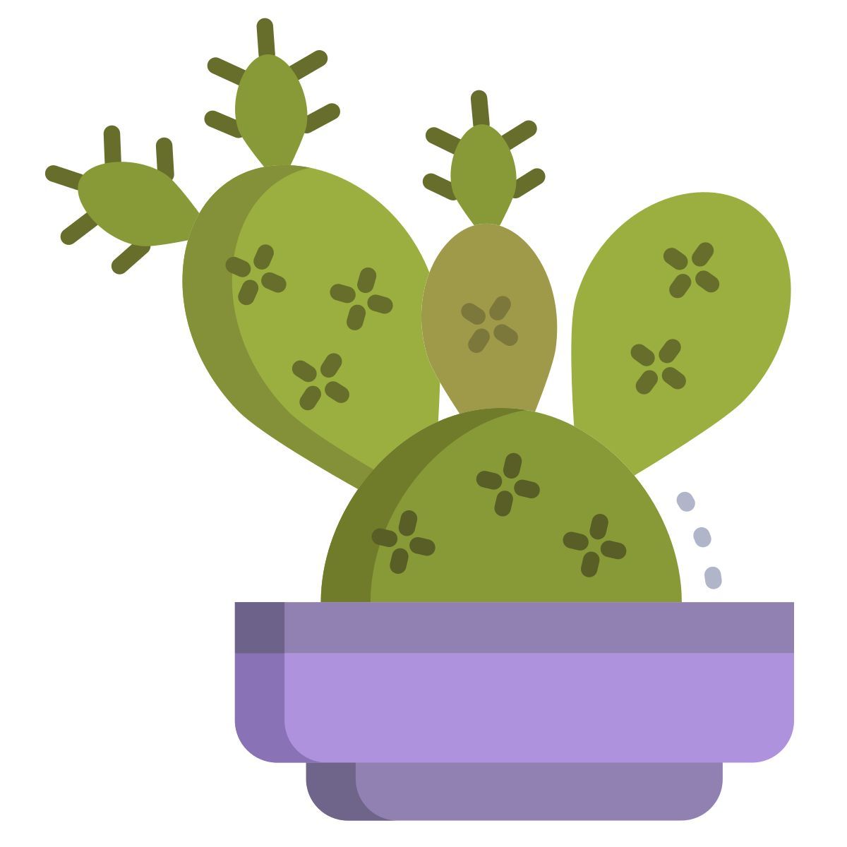 cactus icon