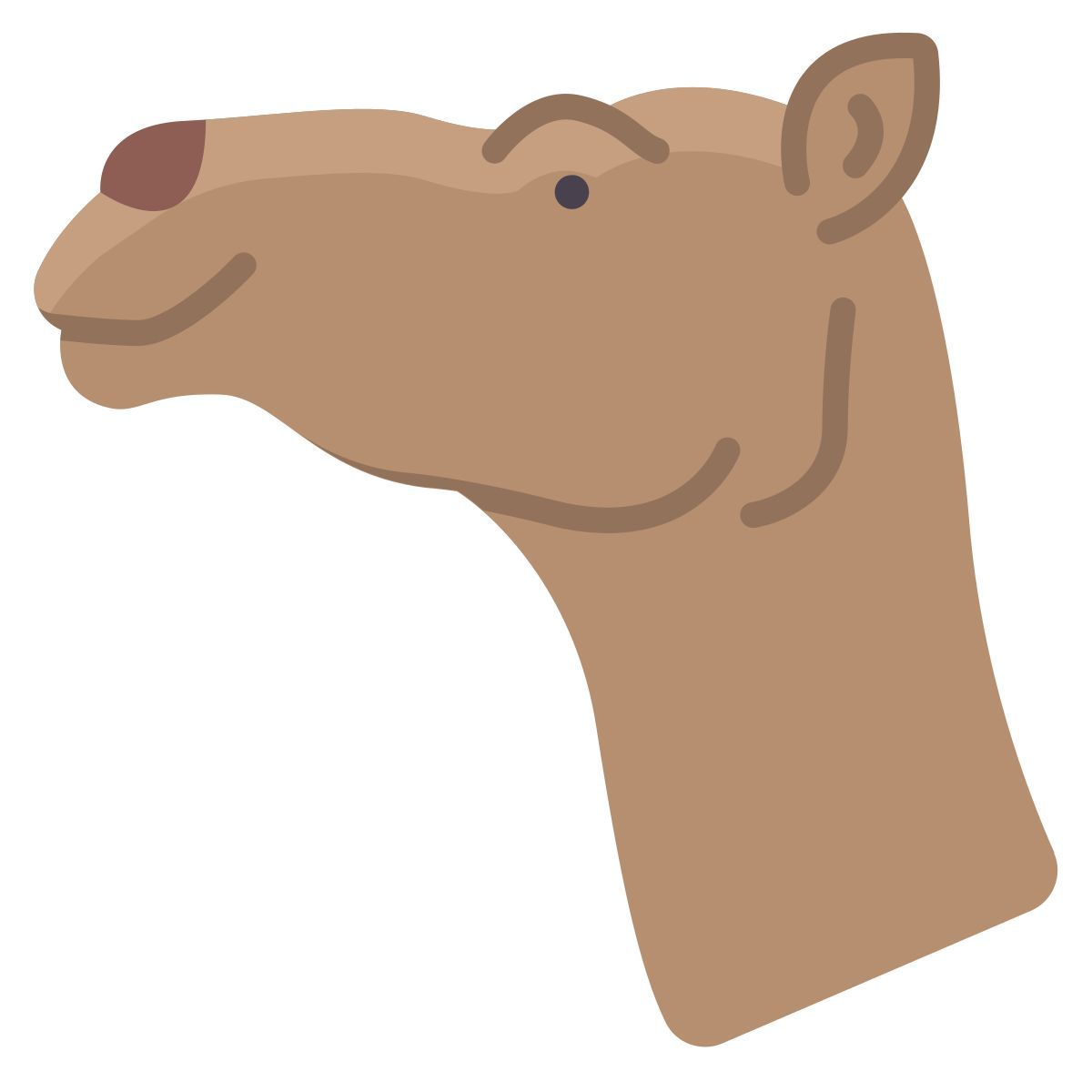 cammello icon