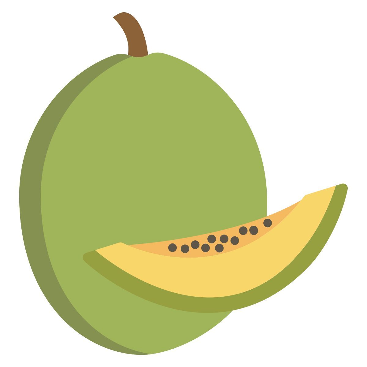 cantaloupe icon