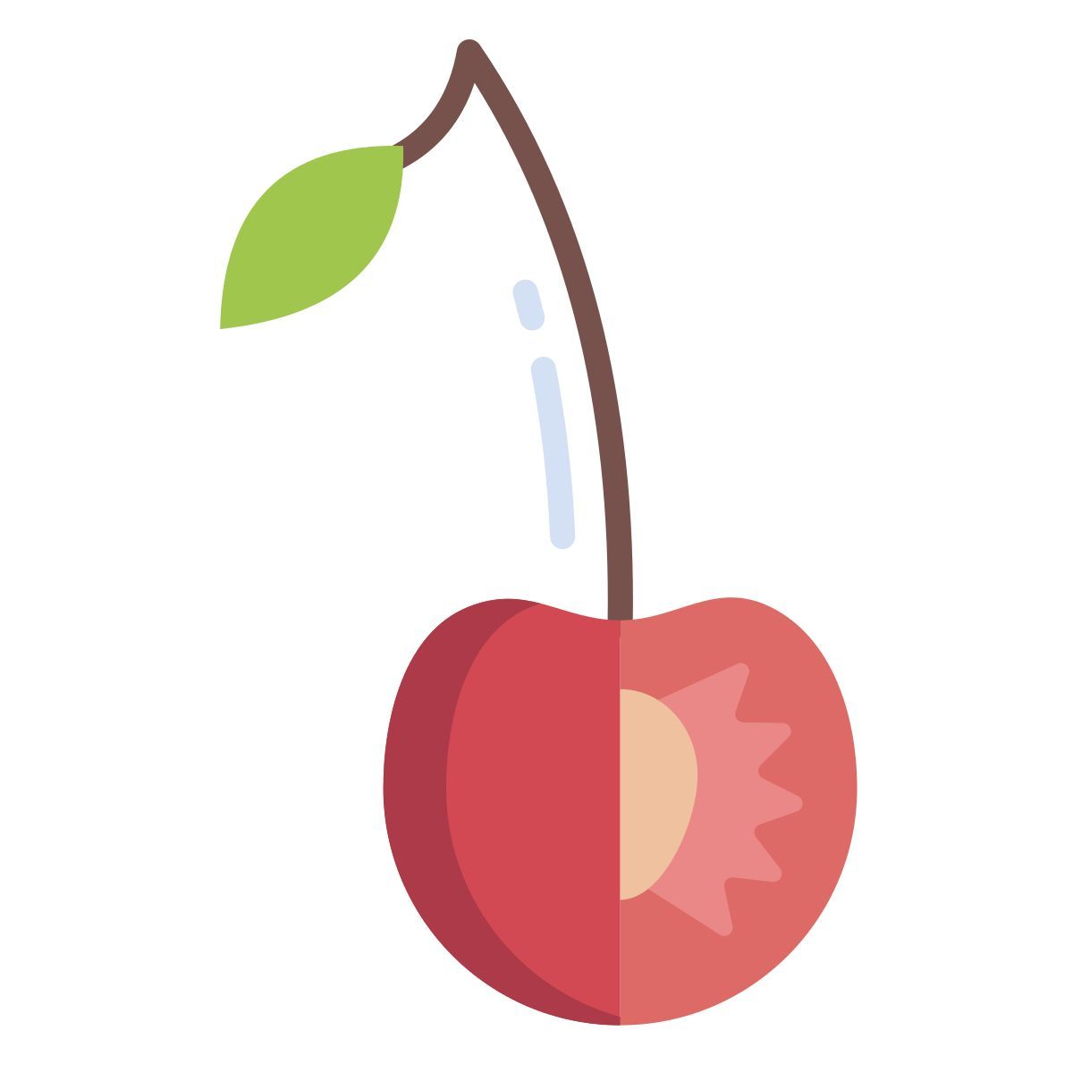 cherry icon