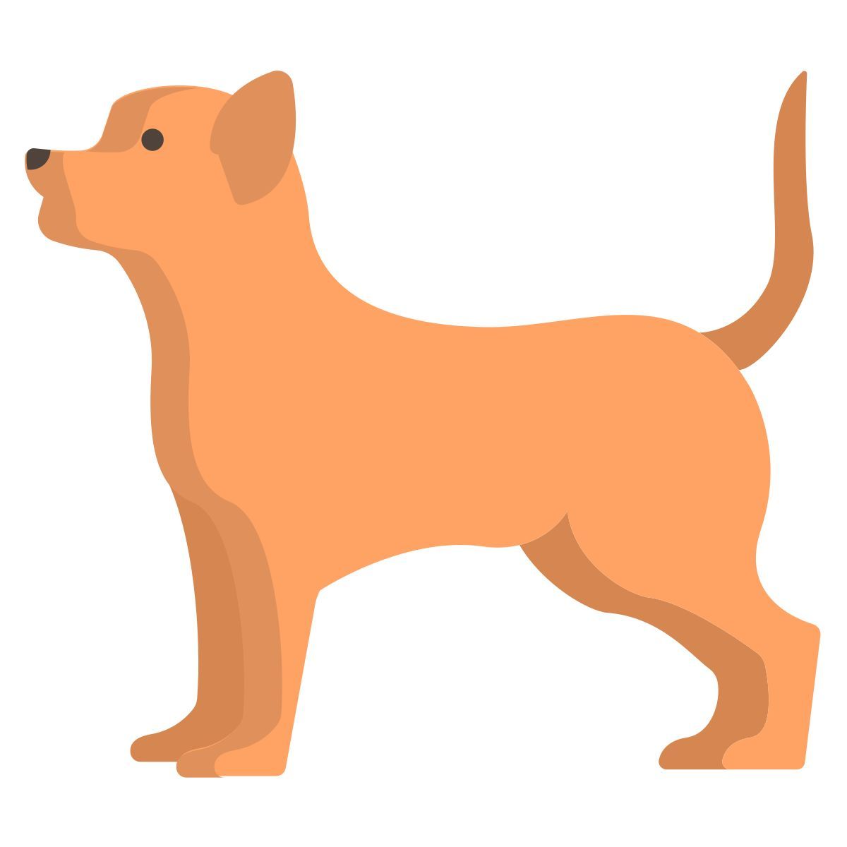chihuahua icon