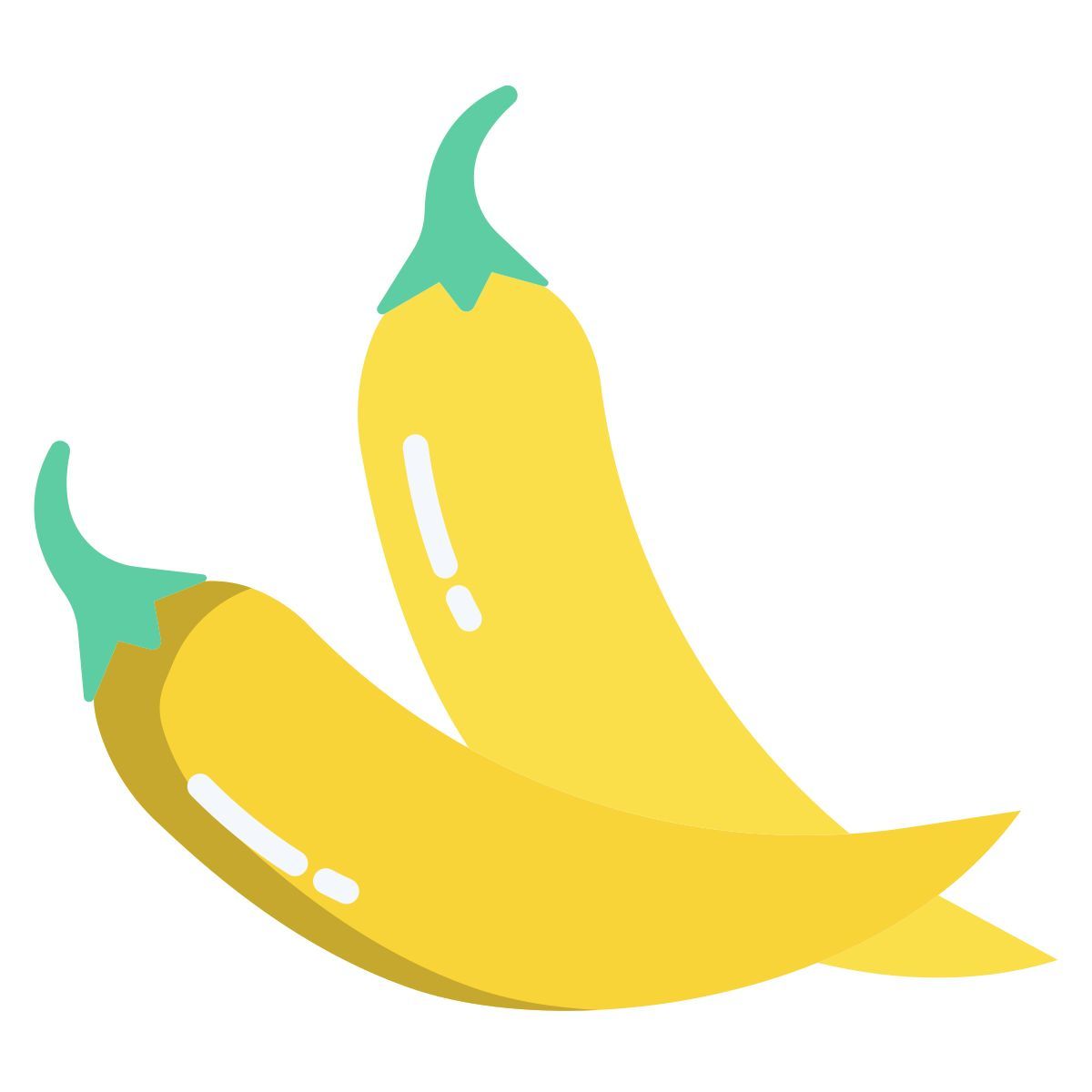 chili pepper icon