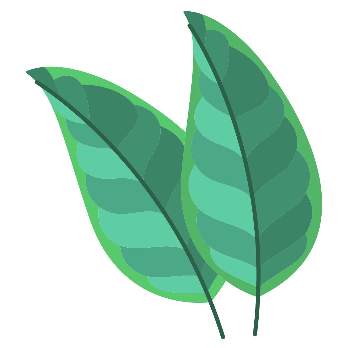 citrus icon