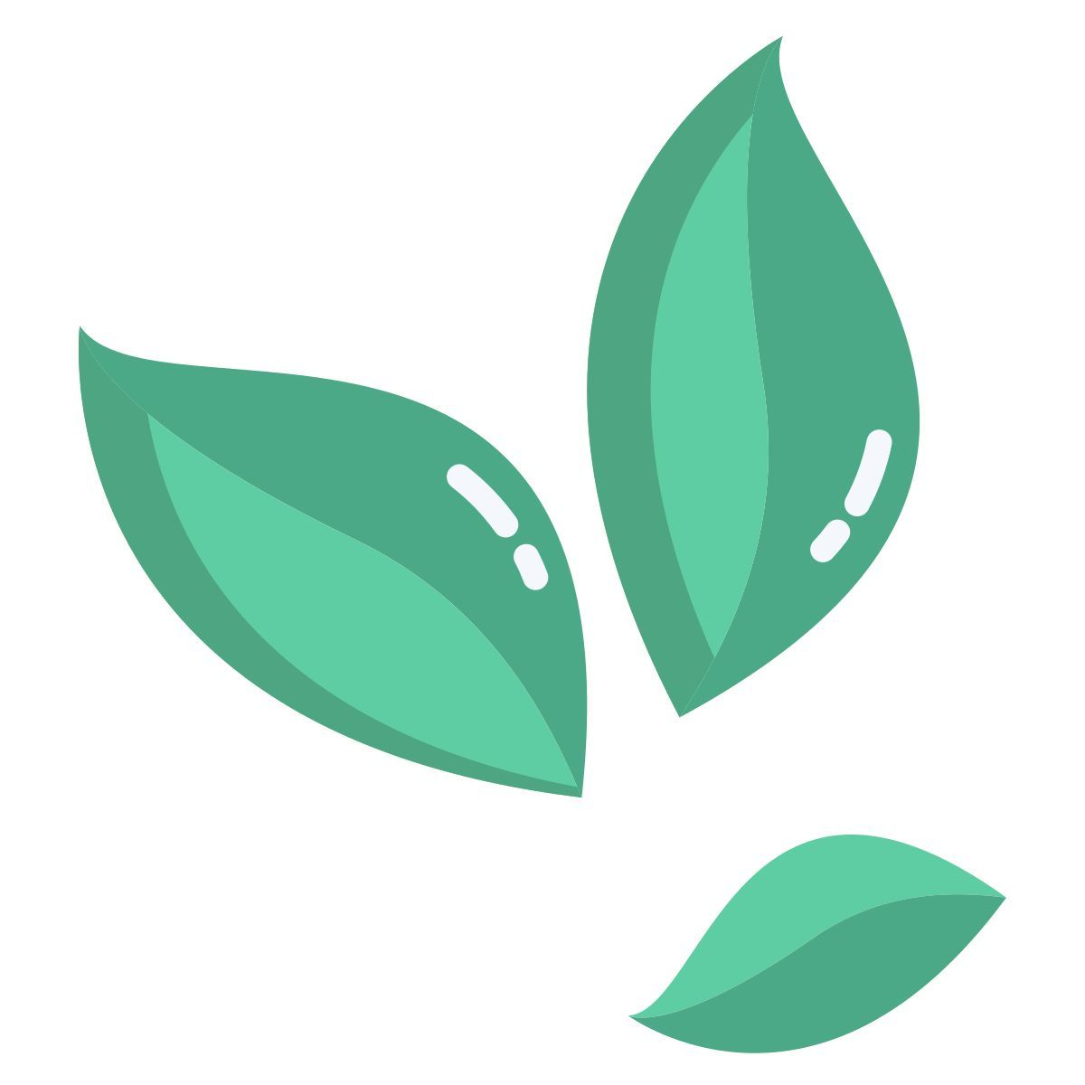 kokablätter icon