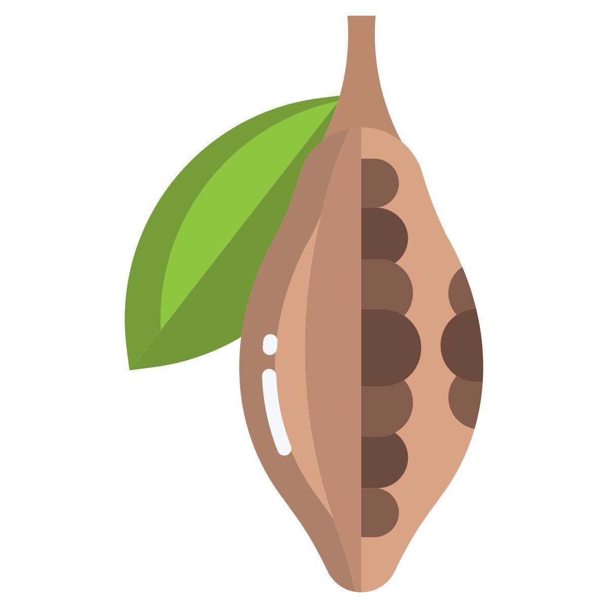 cocoa icon