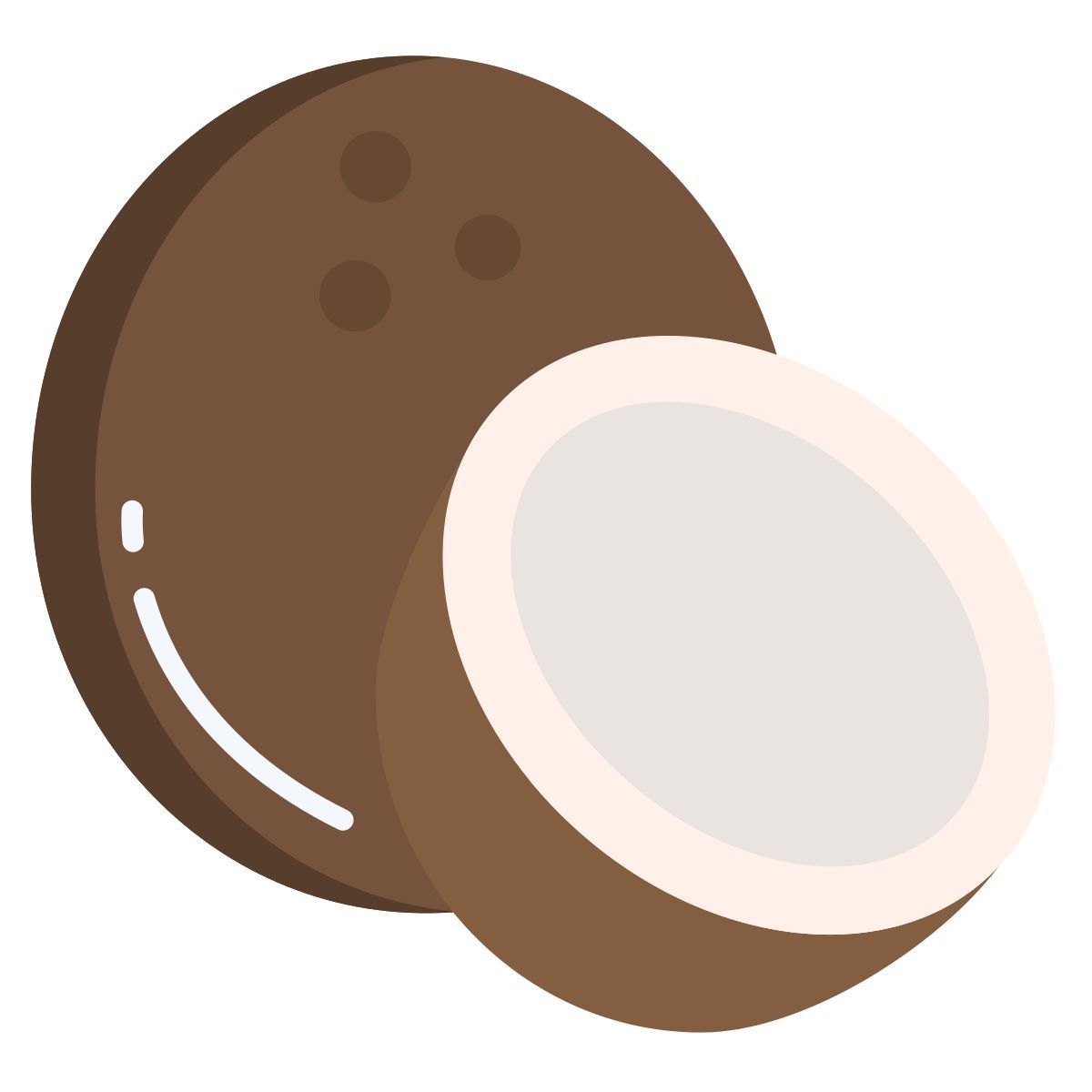 coconut icon