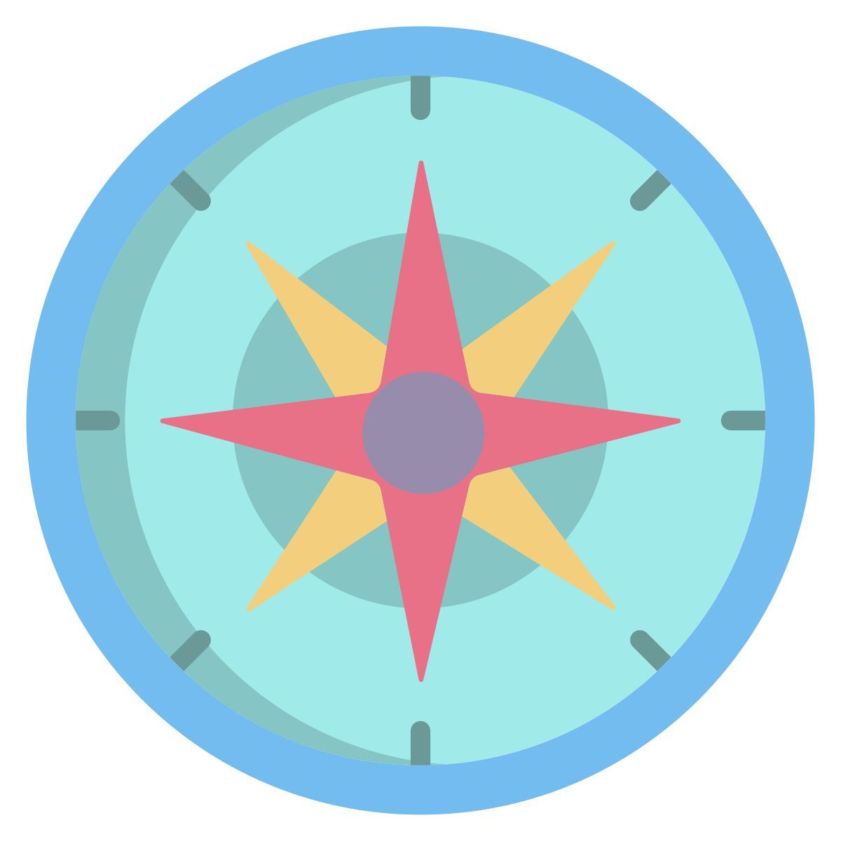 compass icon