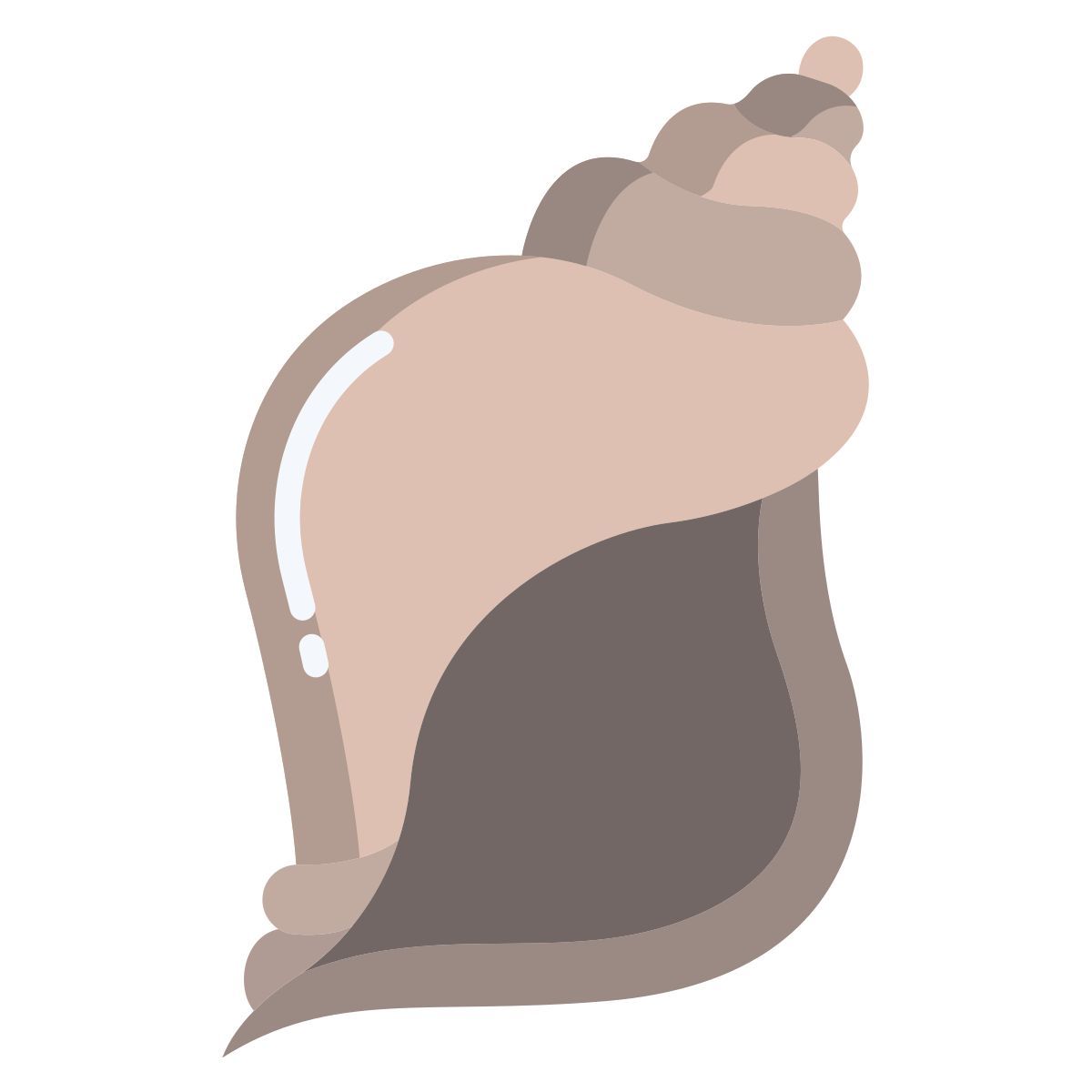 소라 껍질 icon