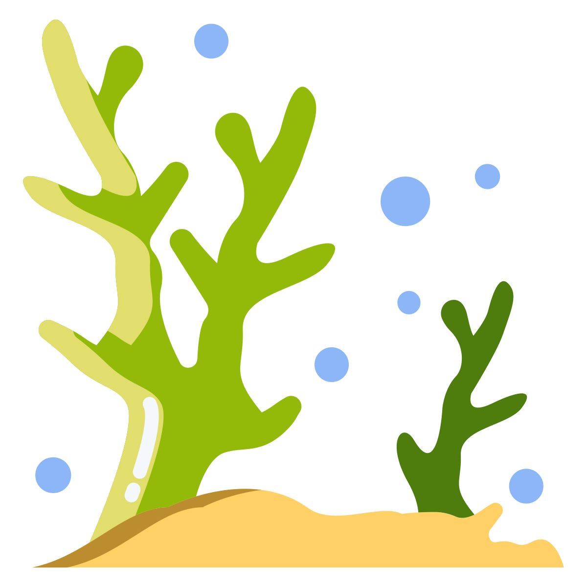 珊瑚 icon