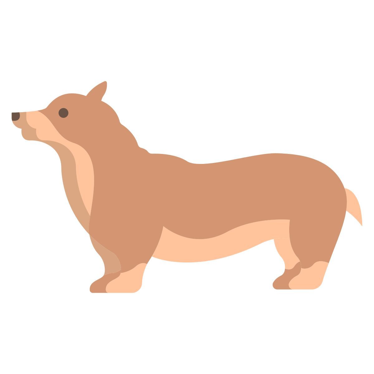 corgi icon