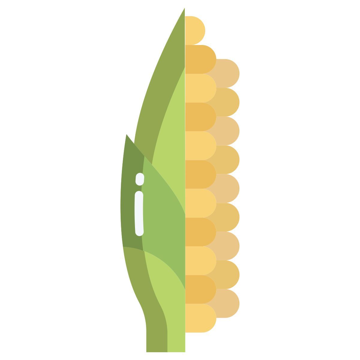 corn icon