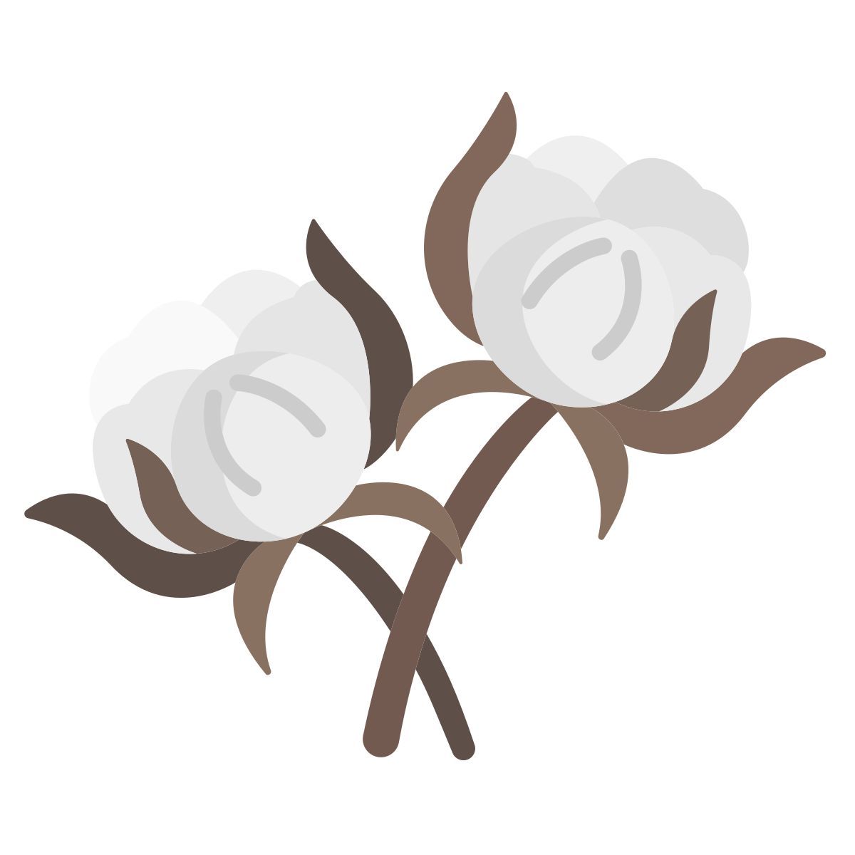 cotton icon