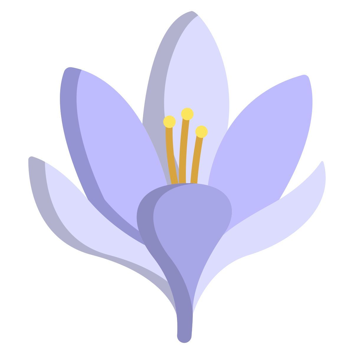 Krokus icon