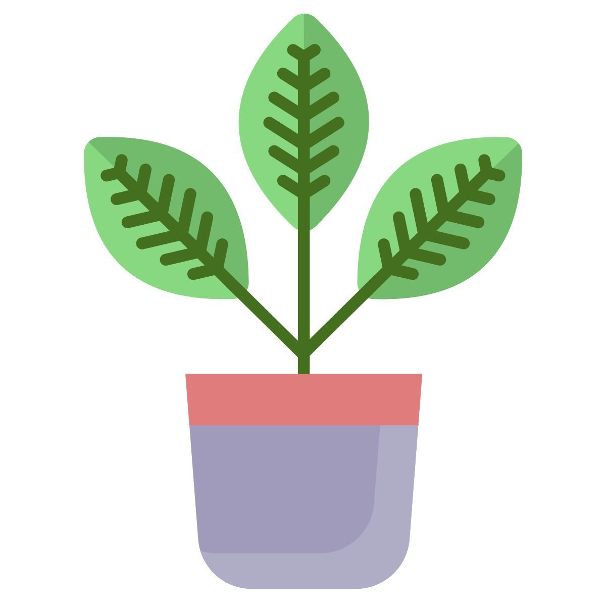 croton icon