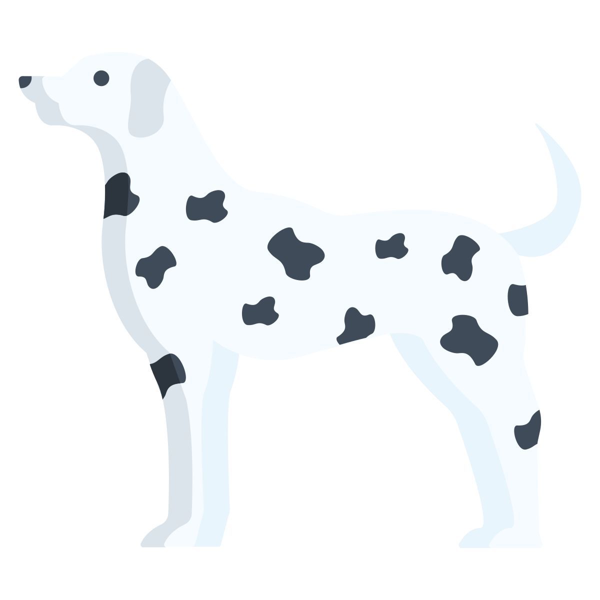 dalmation icon