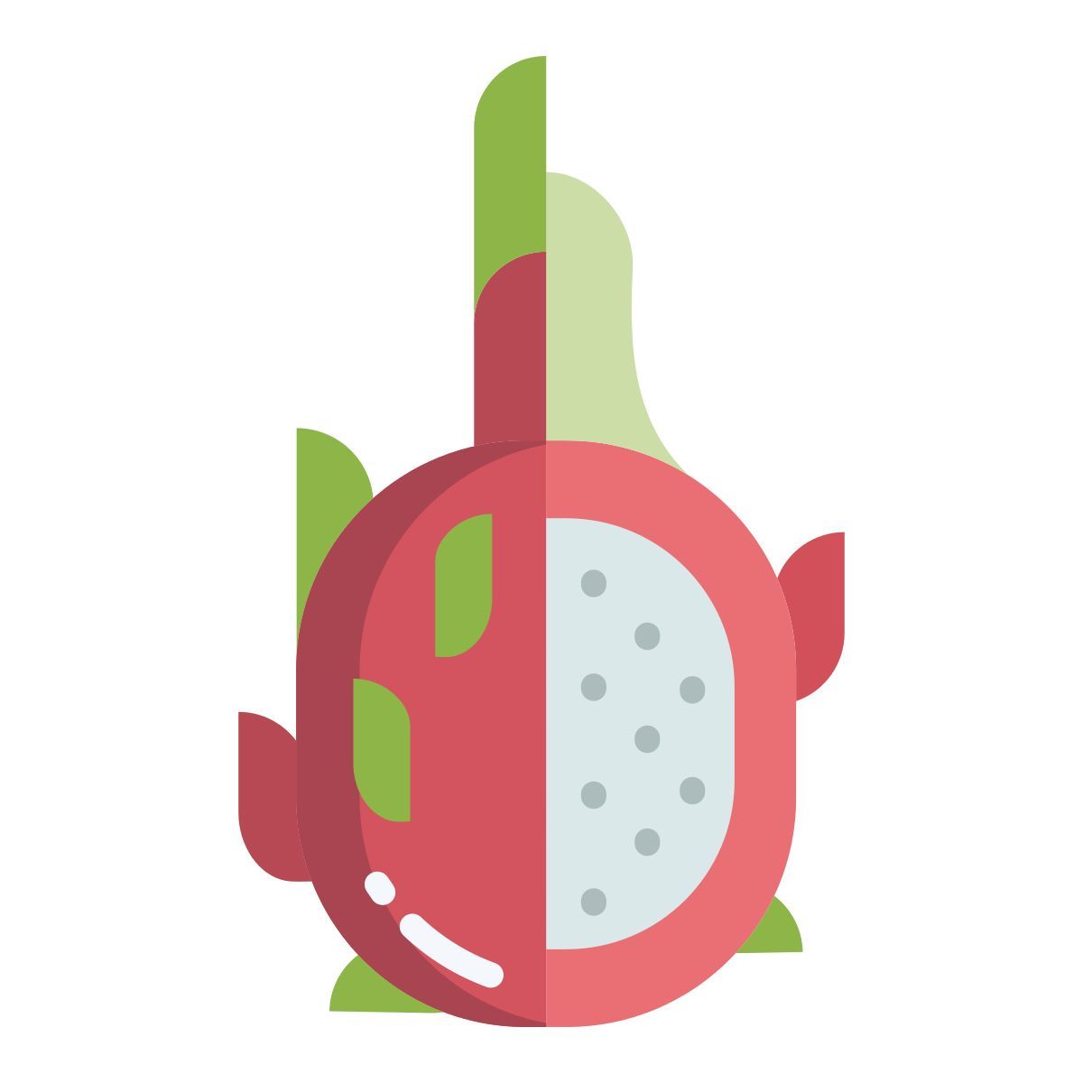 dragon fruit icon