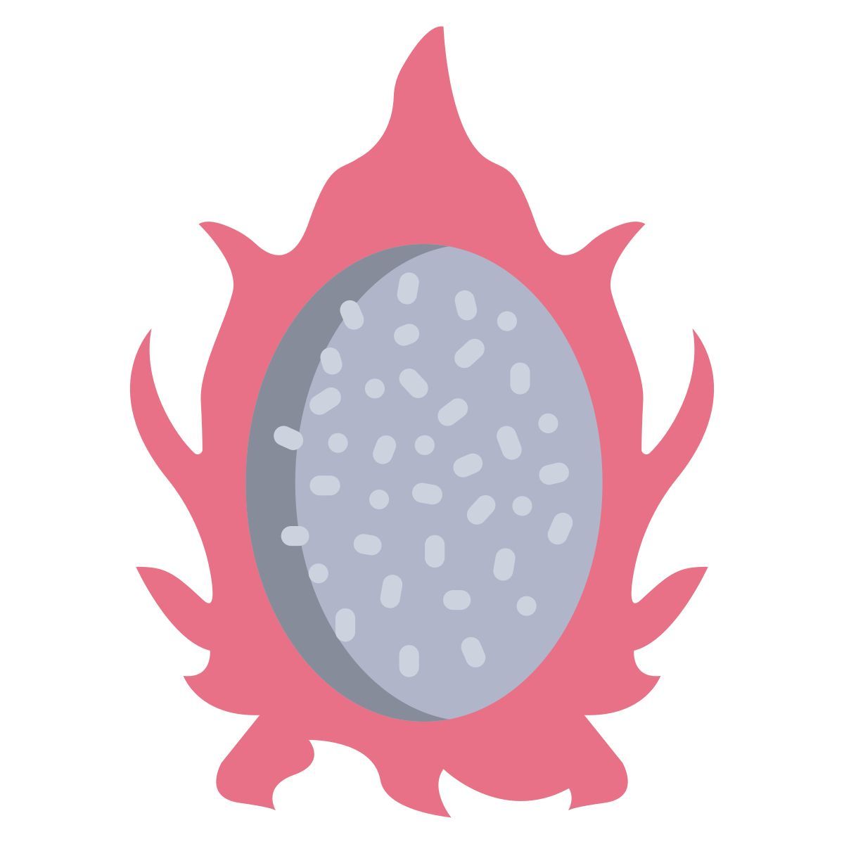 dragon fruit icon