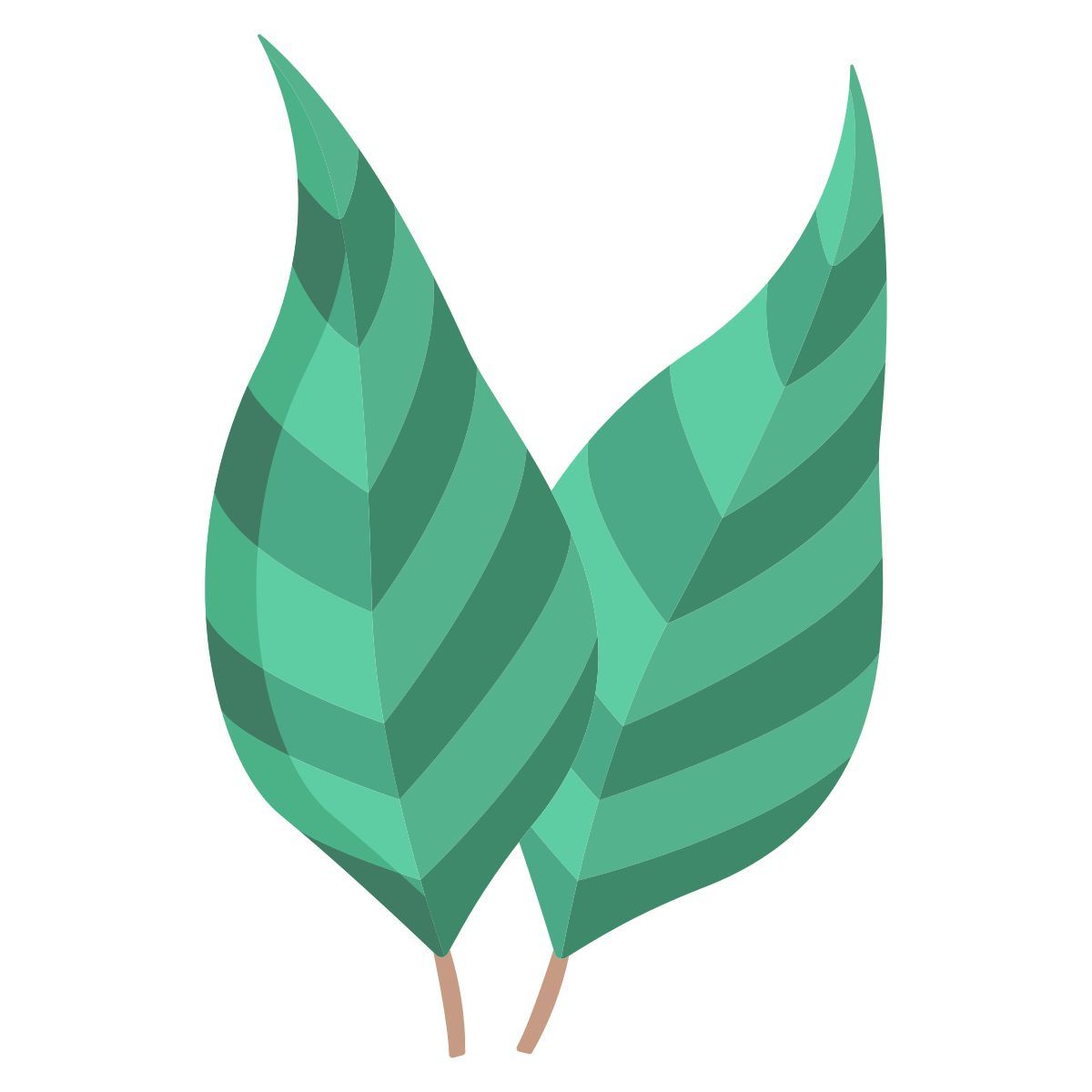 eucalyptus icon